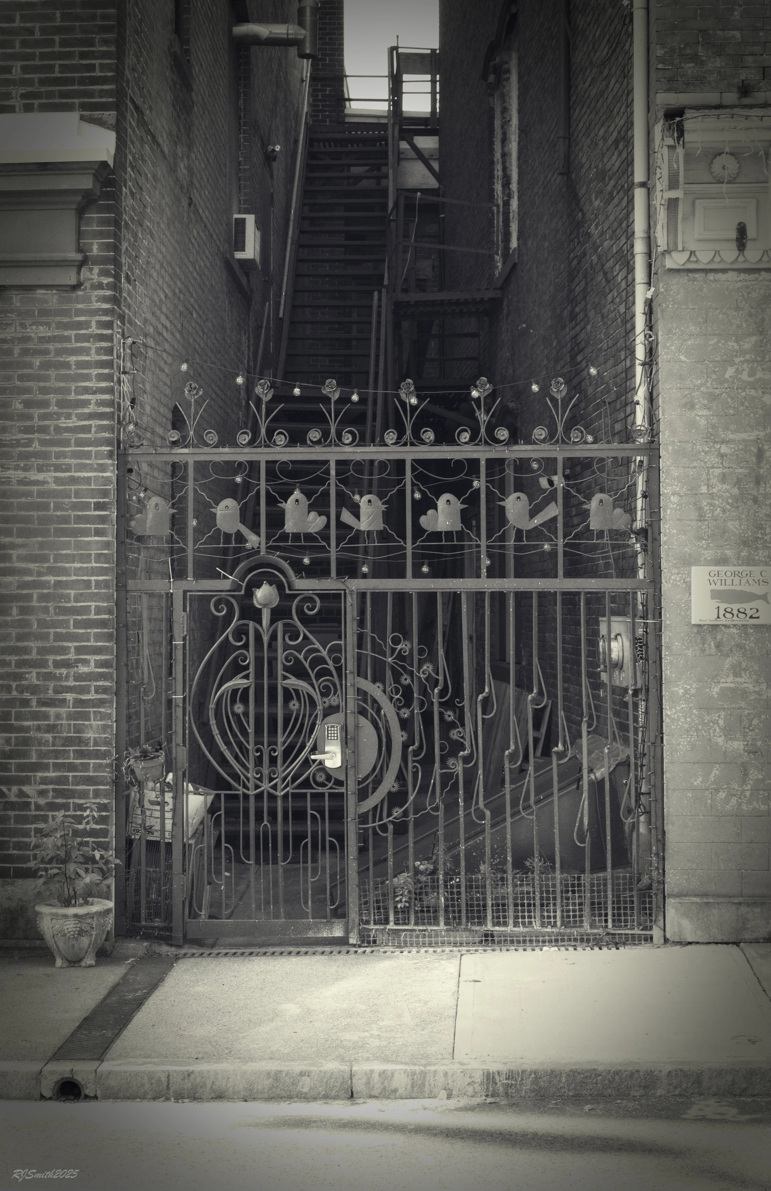 5L5A8321 copyGolden Street 11X17  A747465.jpg
