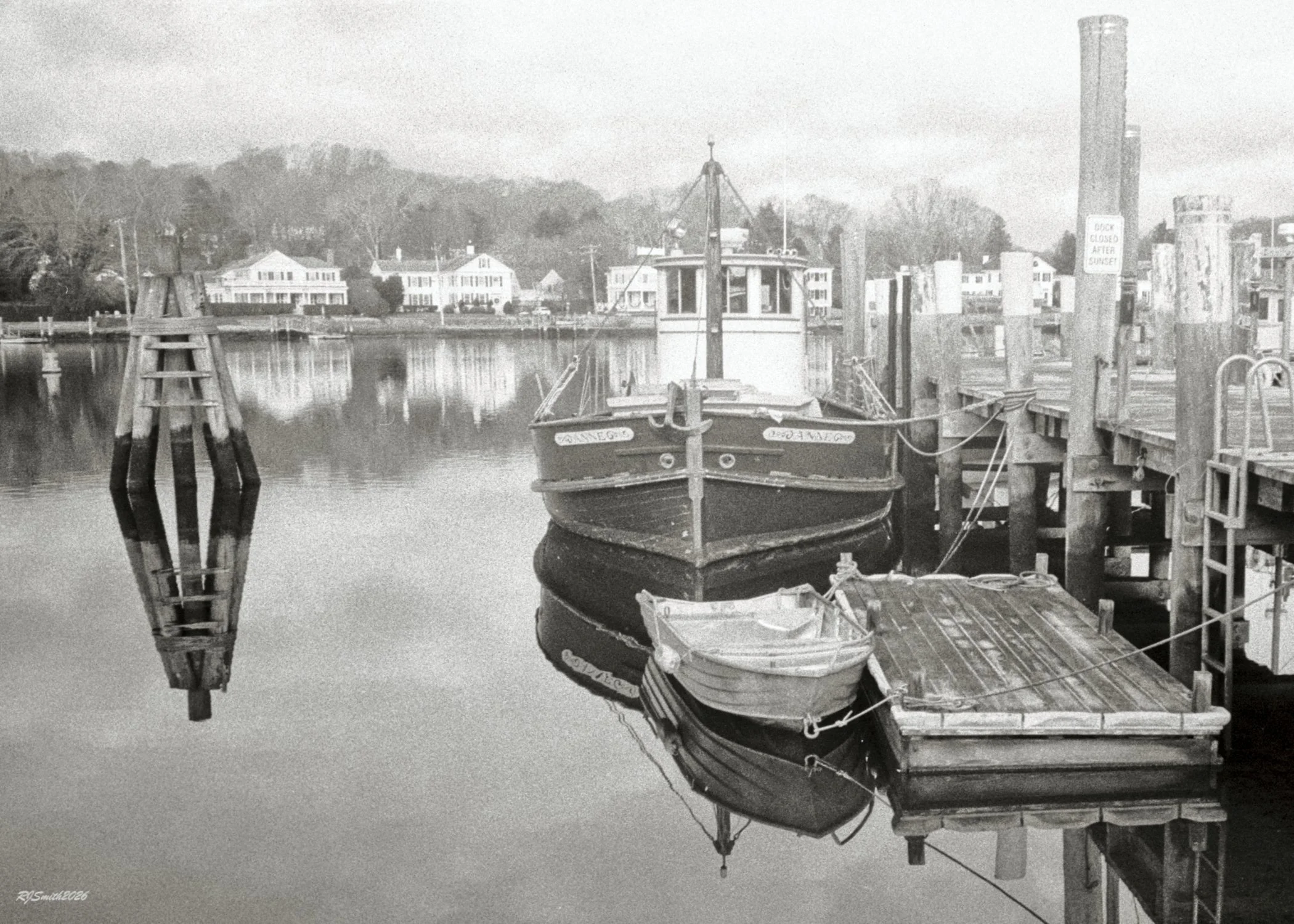 1421AC015 copyAnne (Panda 400) 7X5 A7475381.jpg