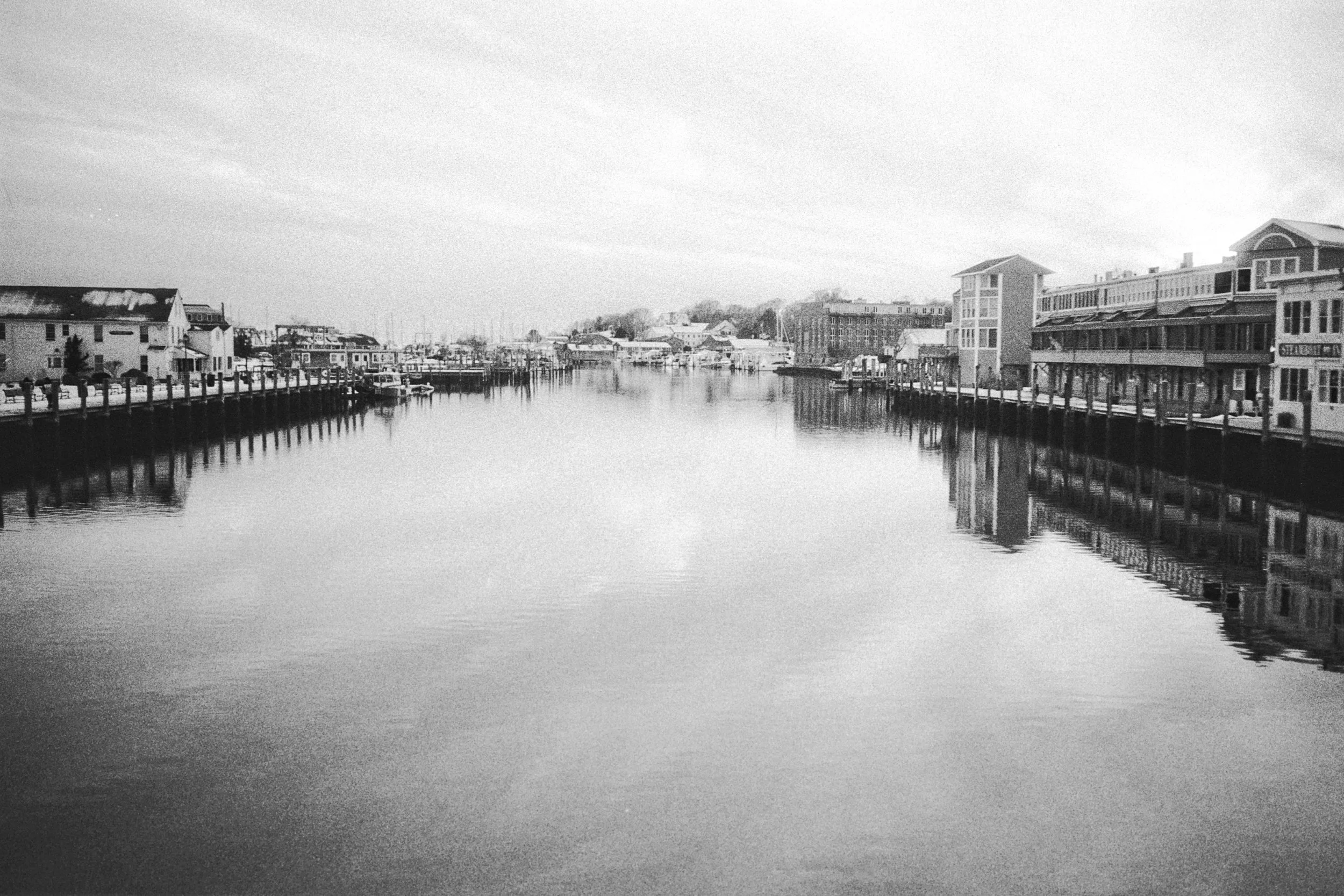 1420AA004 copy copyMystic River (Panda 400) 12X8  A7475408.jpg