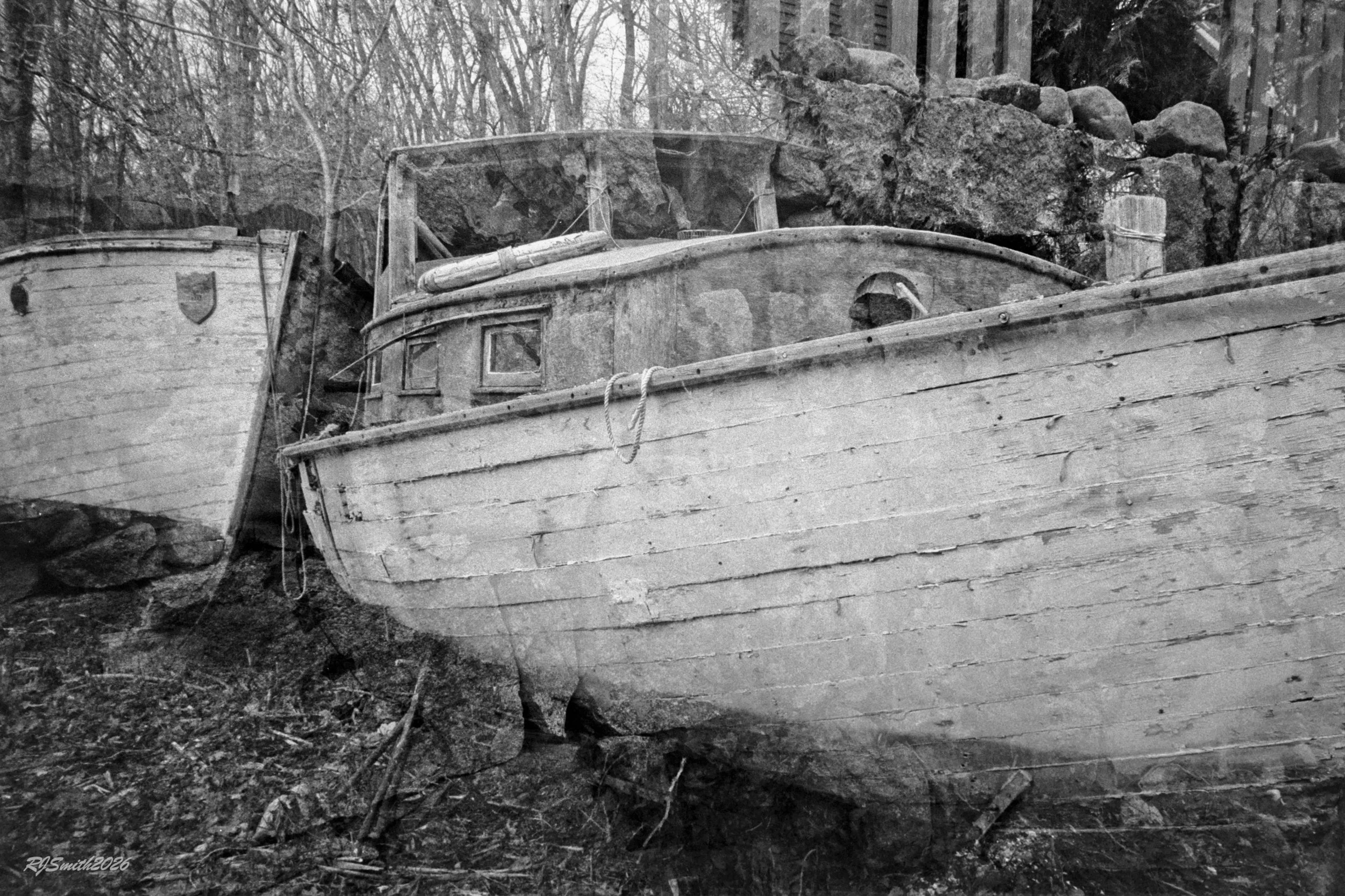 1422AB025 copyOld Friends (Panda) 9X6 A7475378.jpg