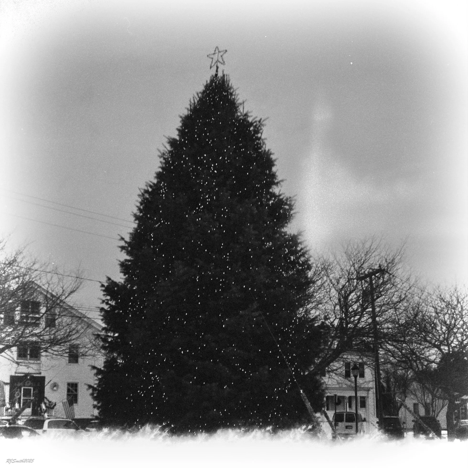 1420AA001 copy2025 Mystic (Panda 400) 5X5 A7475382.jpg