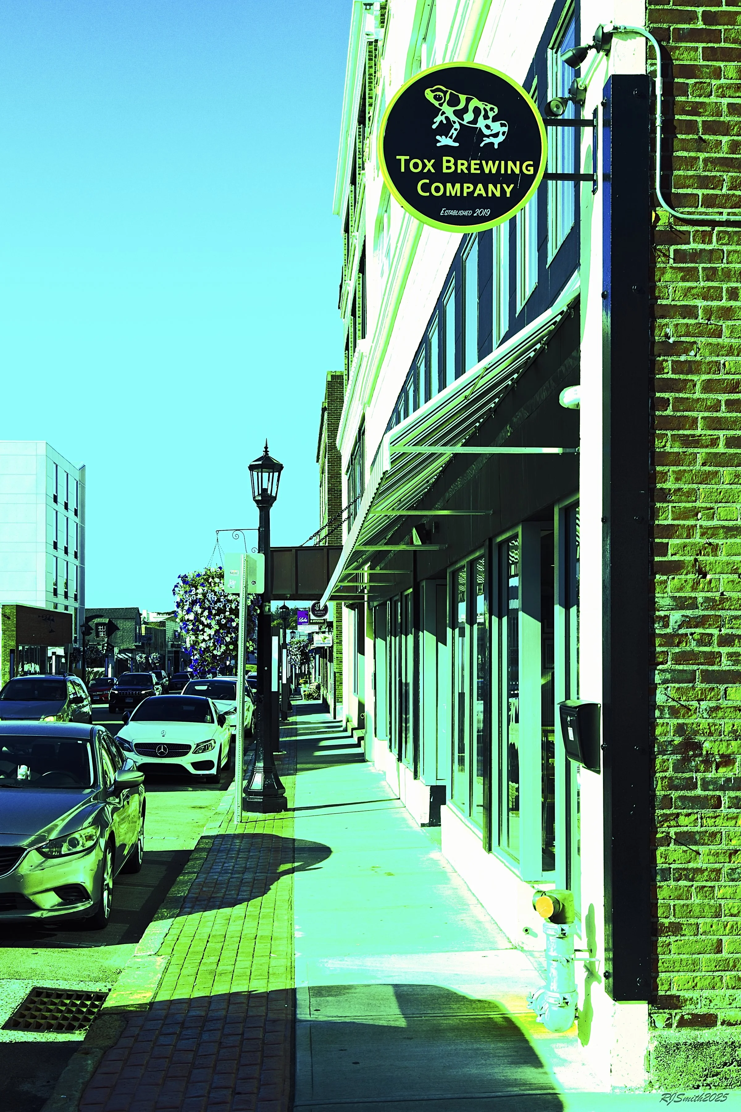 5L5A8171 copyCrazy Tox 8X12  A747426.jpg