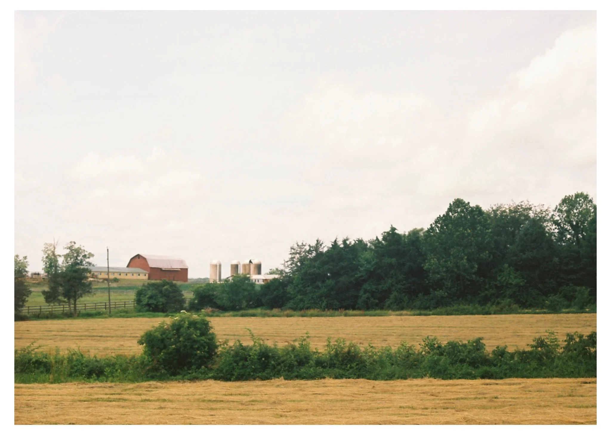 photo-output_4.JPEG