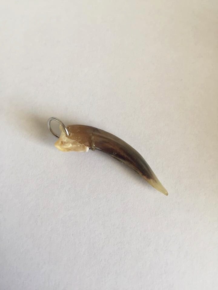 https://i.etsystatic.com/5716350/r/il/f3b7a5/1024174386/il_fullxfull.1024174386_3ca6.jpg