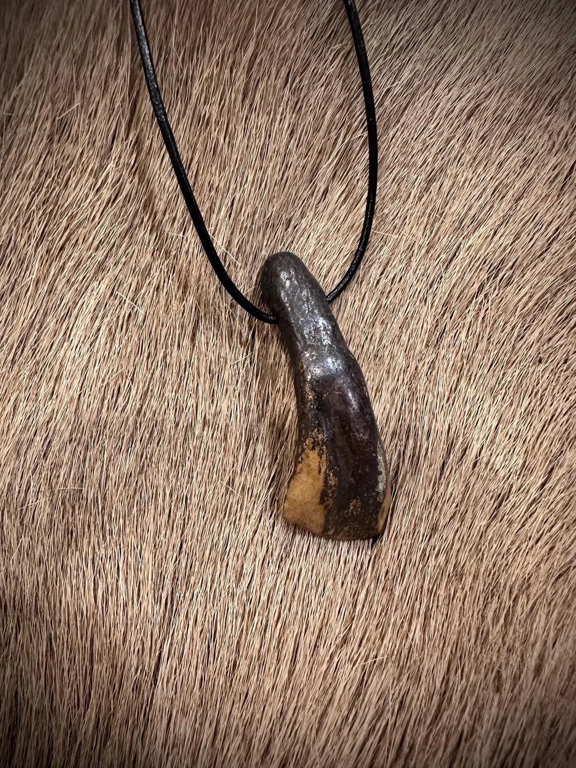 Buffalo tooth necklace.jpg