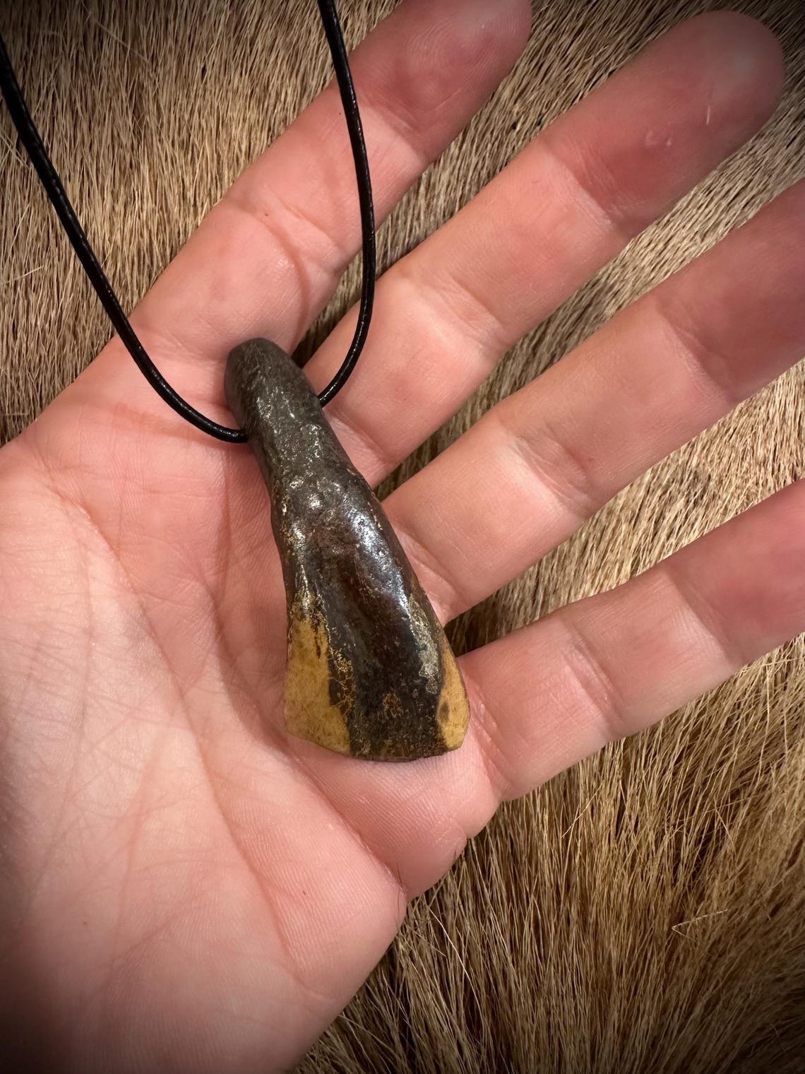 Buffalo tooth necklace 2.jpg