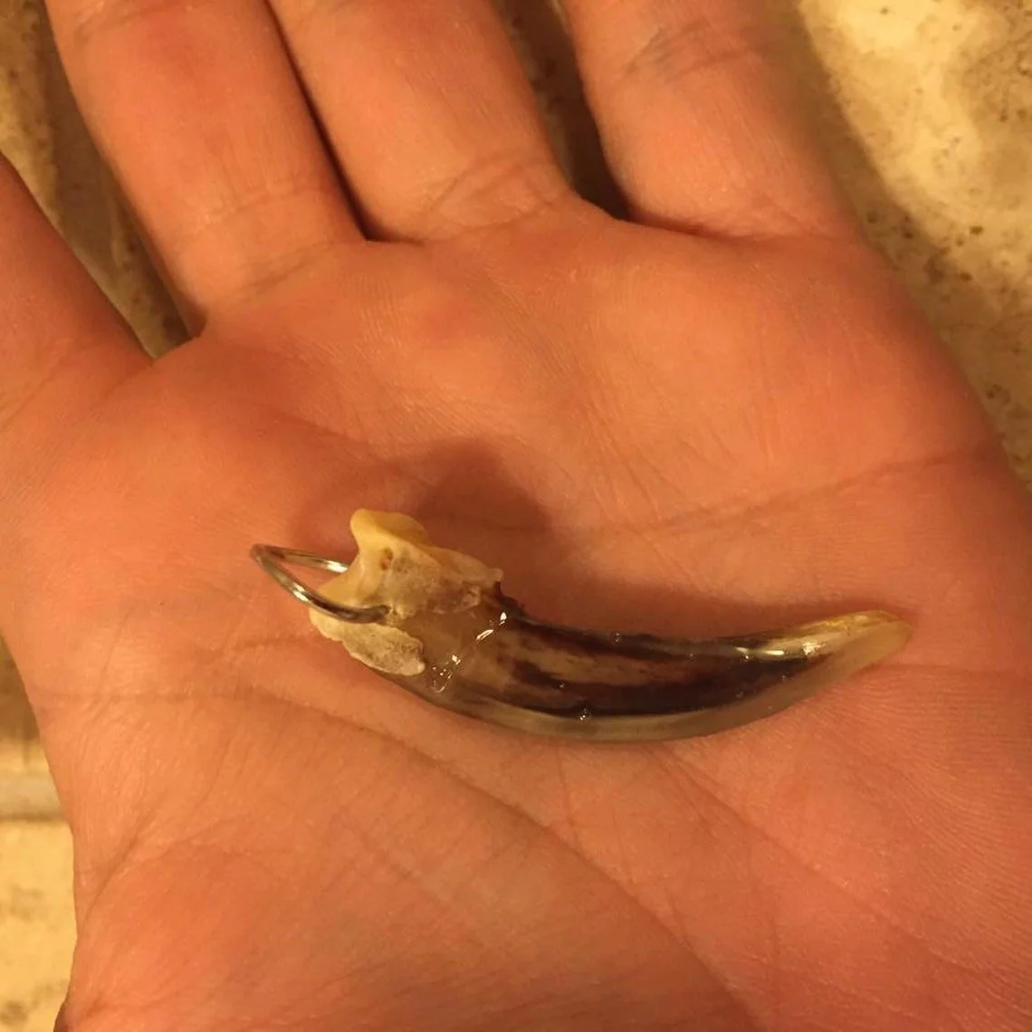 badger claw pendant 2.jpg