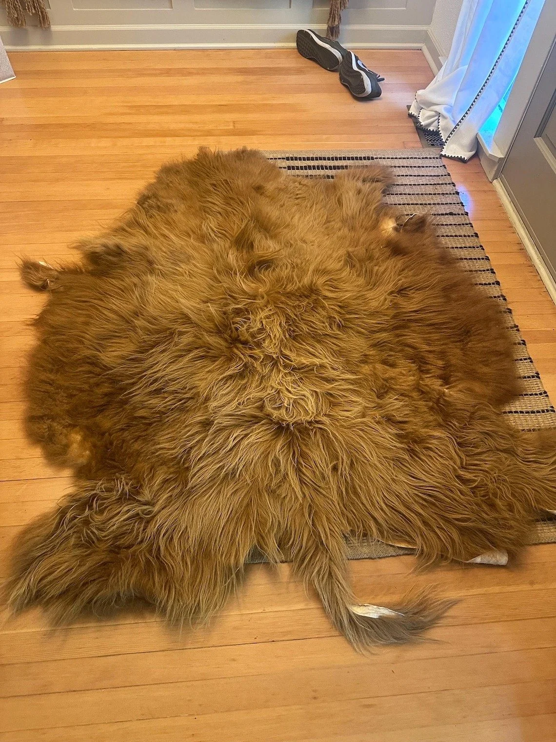 Highland cow rug.jpg