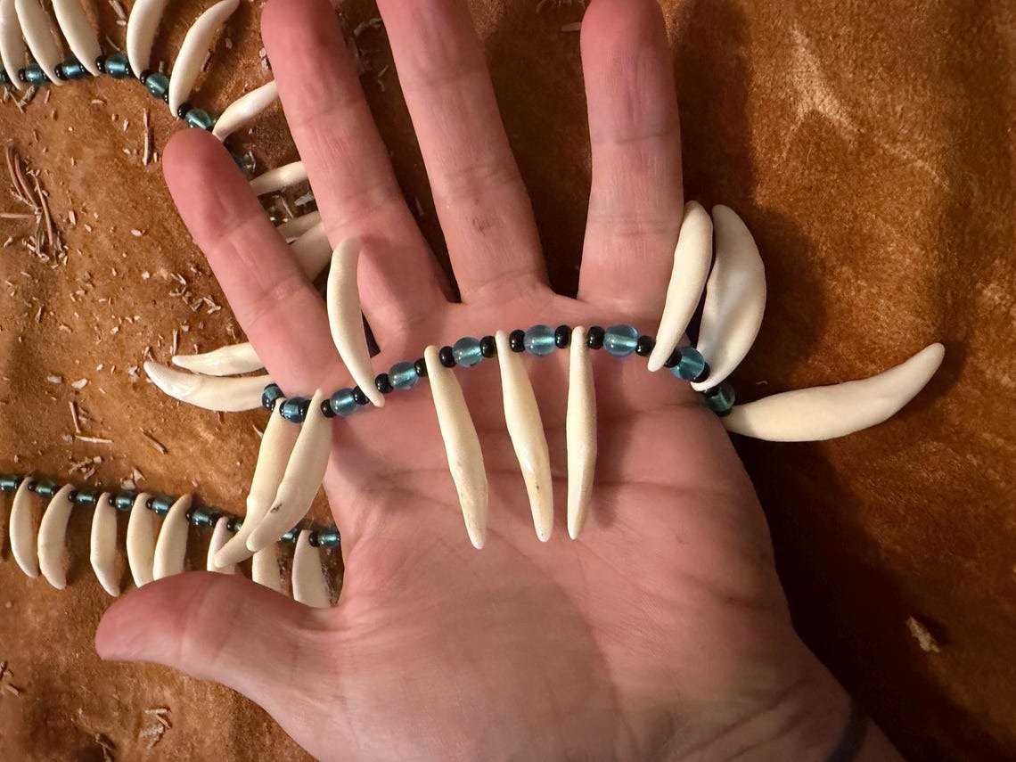 Coyote tooth necklace 2.jpg
