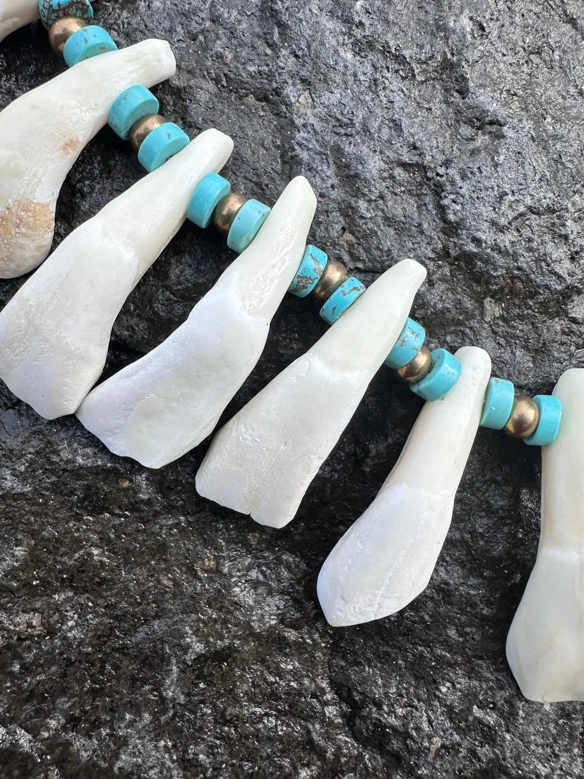 Buffalo tooth necklace 2.jpg