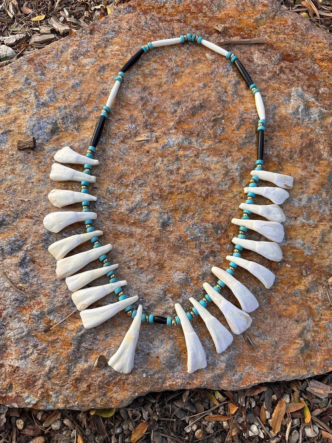 Buffalo tooth necklace.jpg