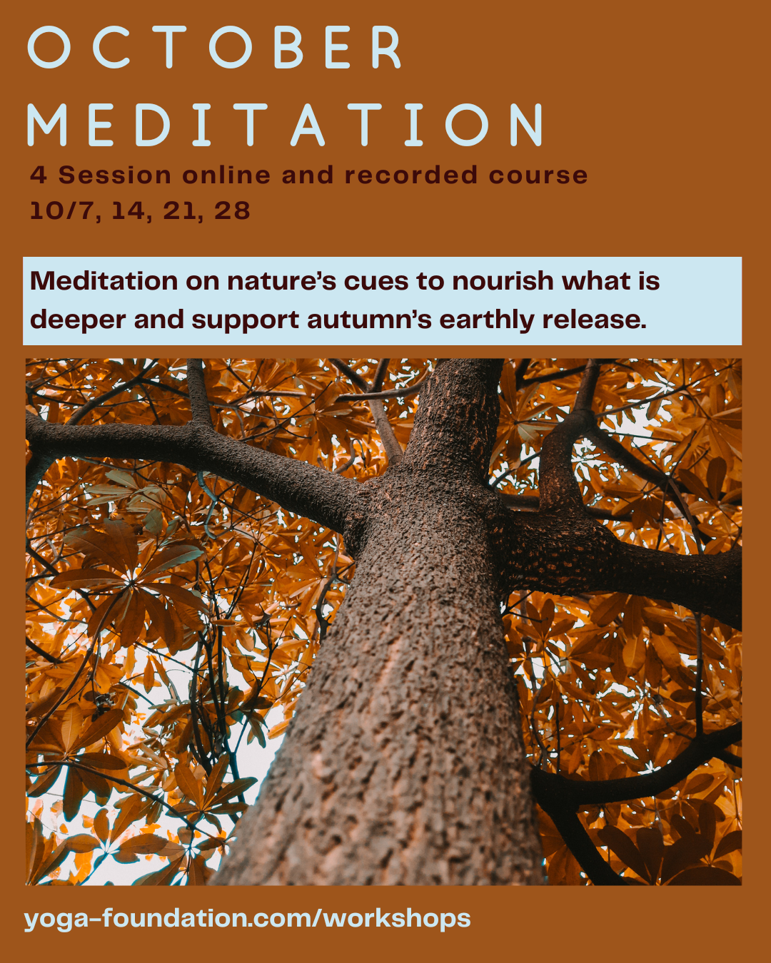 Meditate to liberate