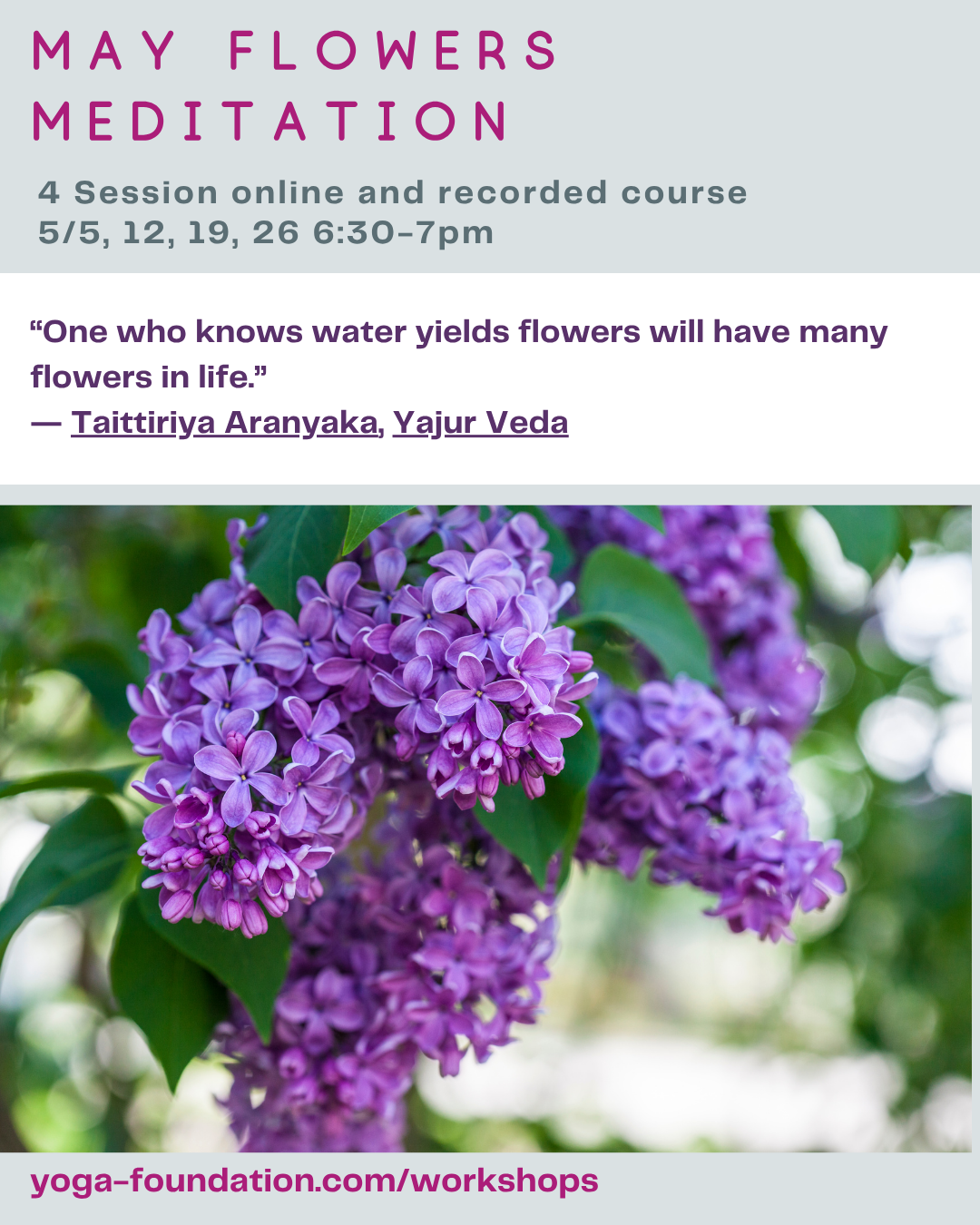 May Flowers Meditation