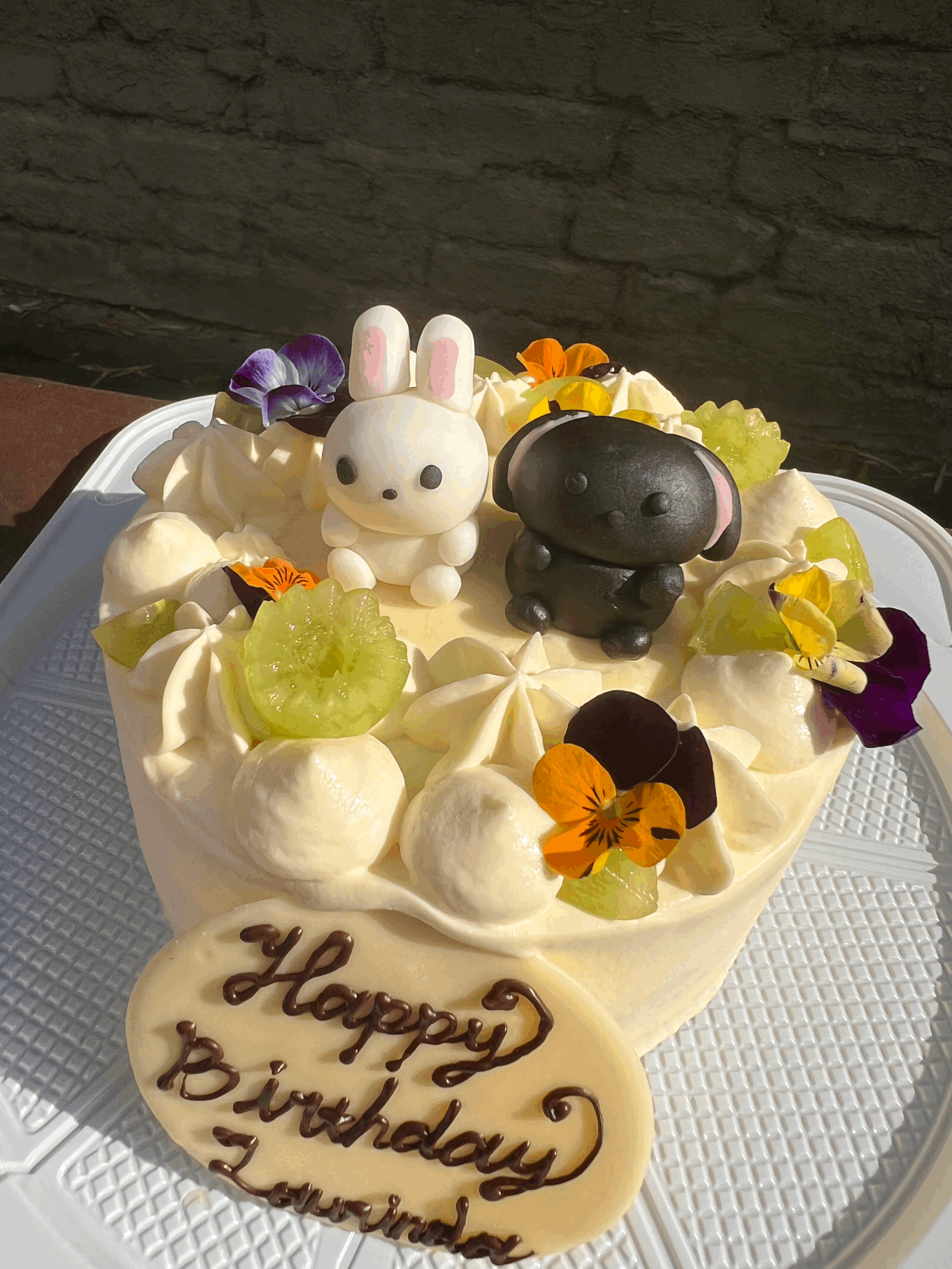 tempImagekia7KE.gif (Copy)