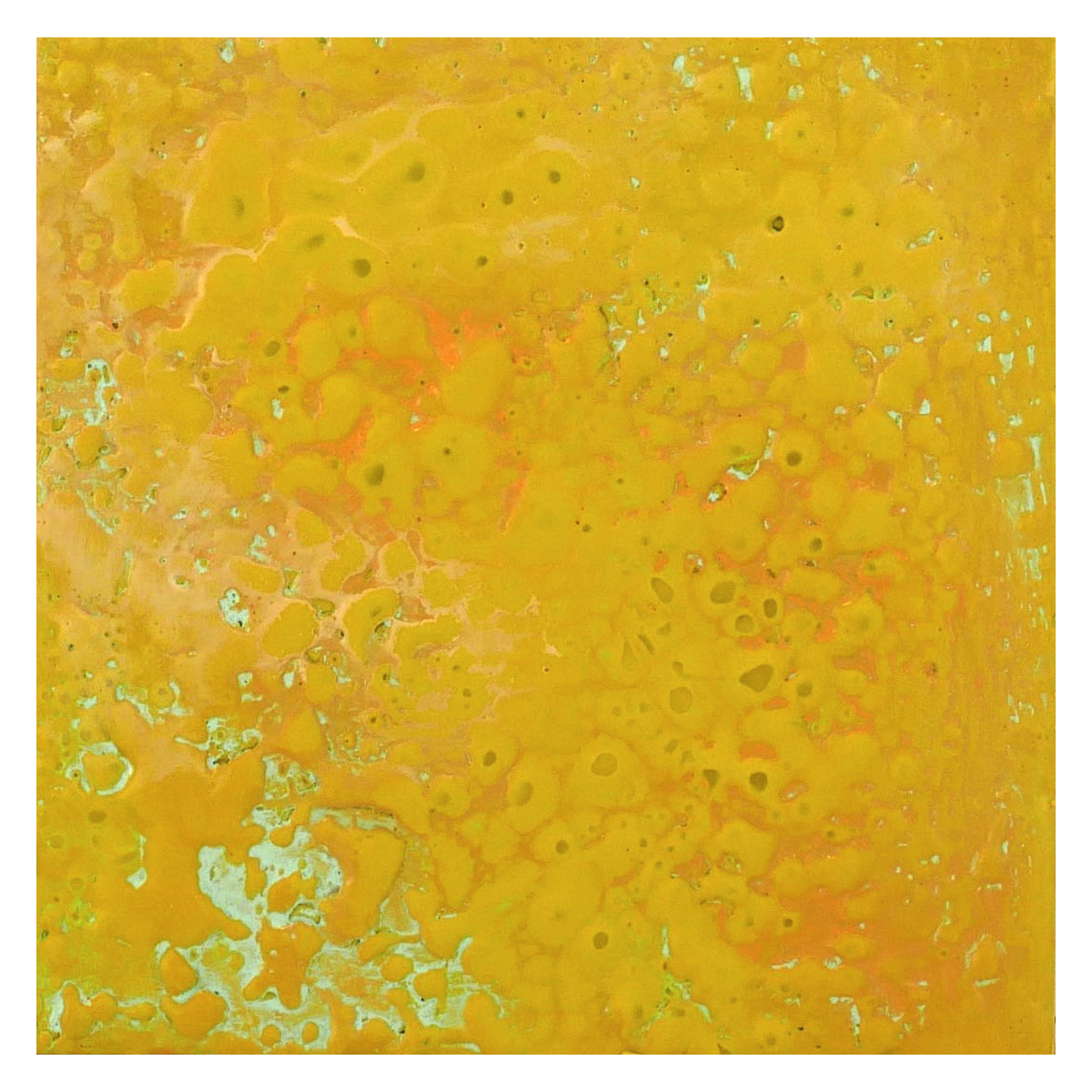 Citron Green Study