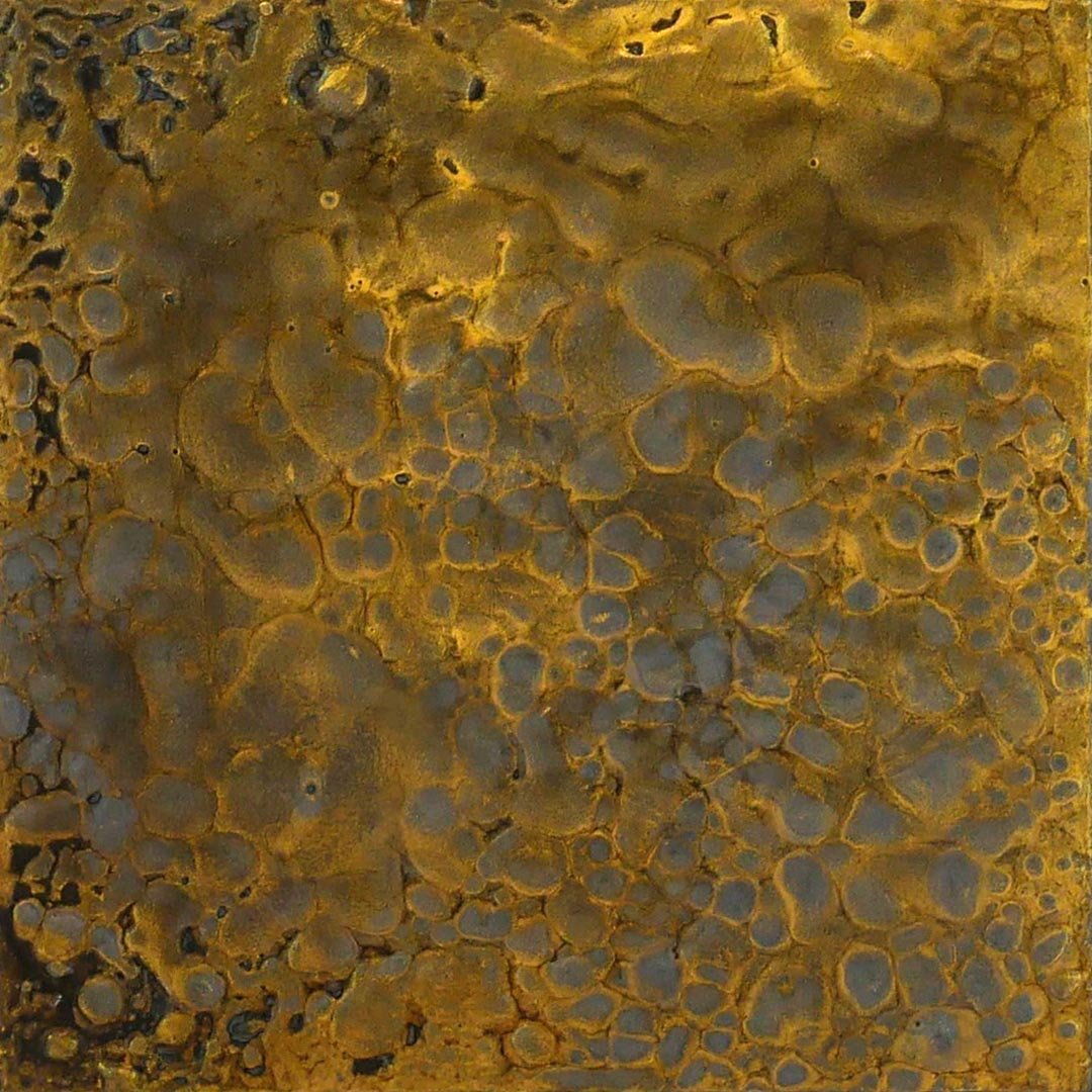 Close-up of a textured surface with irregular yellow and grayish-blue patches resembling a biological or mineral formation.