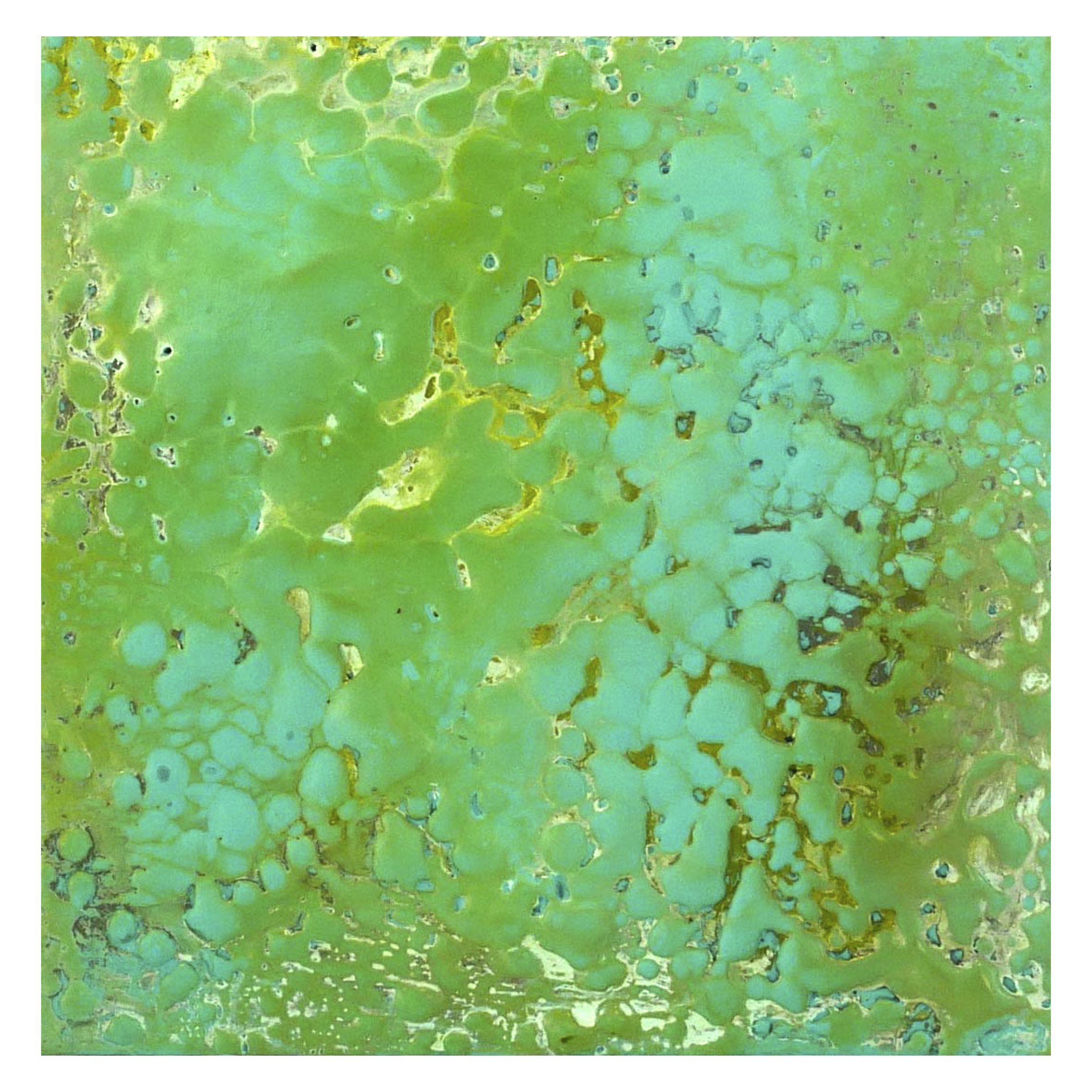Malachite Green Study