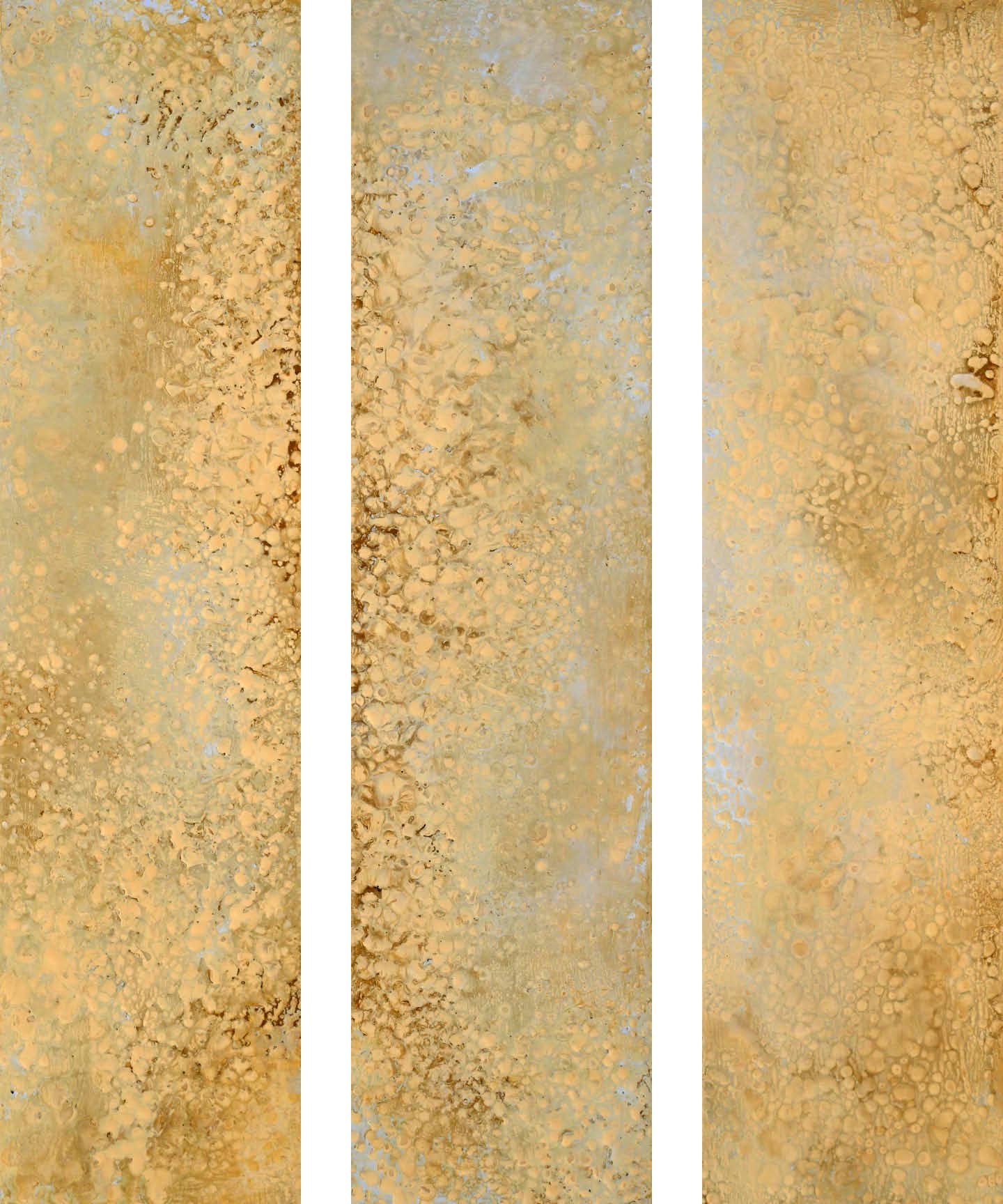 Abstract orange and beige textured triptych art with circular and crystalline patterns.
