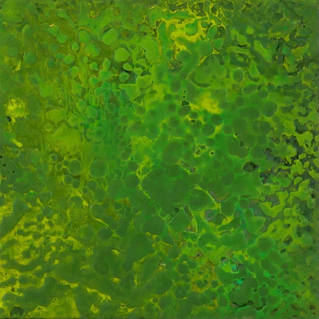 Close-up of a green and yellow textured surface with abstract patterns.