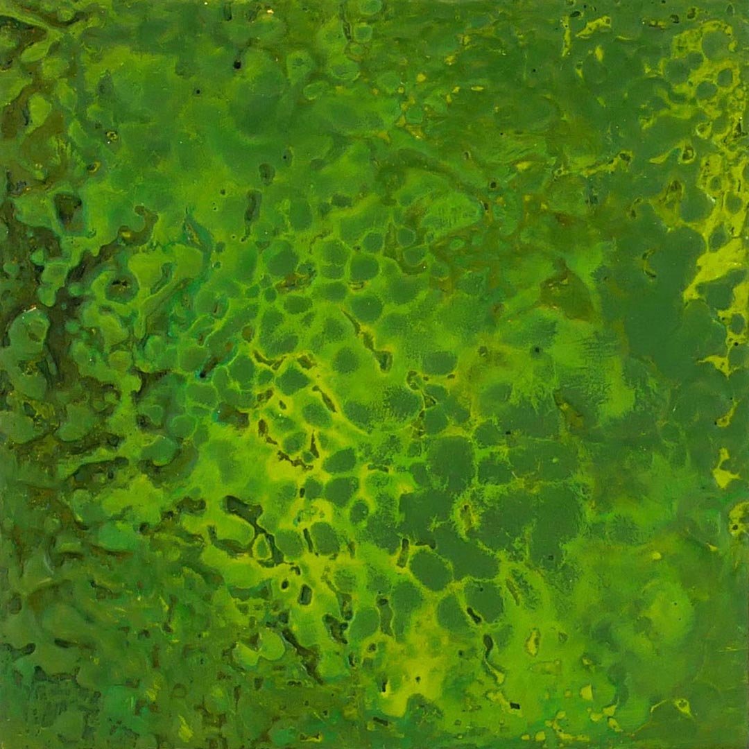 Close-up of a green, patterned surface with irregular shapes and textures.