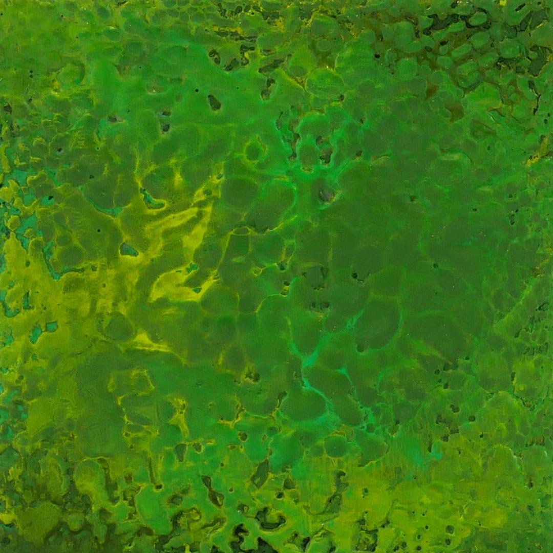 Close-up of a green, textured surface with cracks and irregular patterns.
