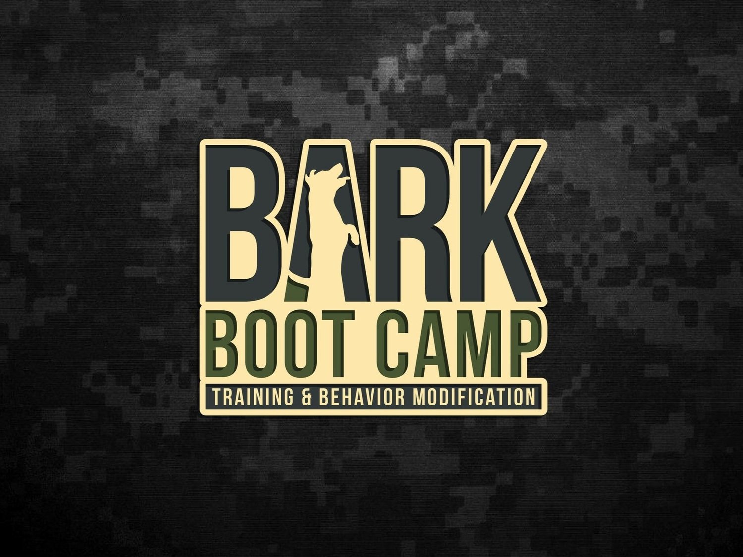 Bark Boot Camp Dog Training