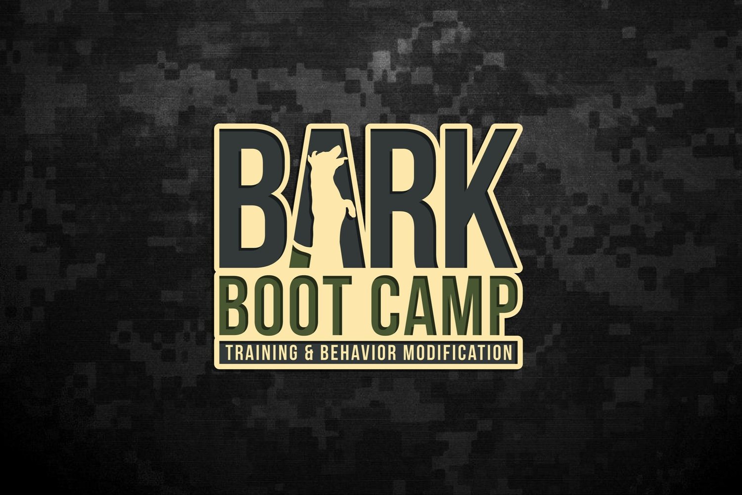 Bark Boot Camp Dog Training