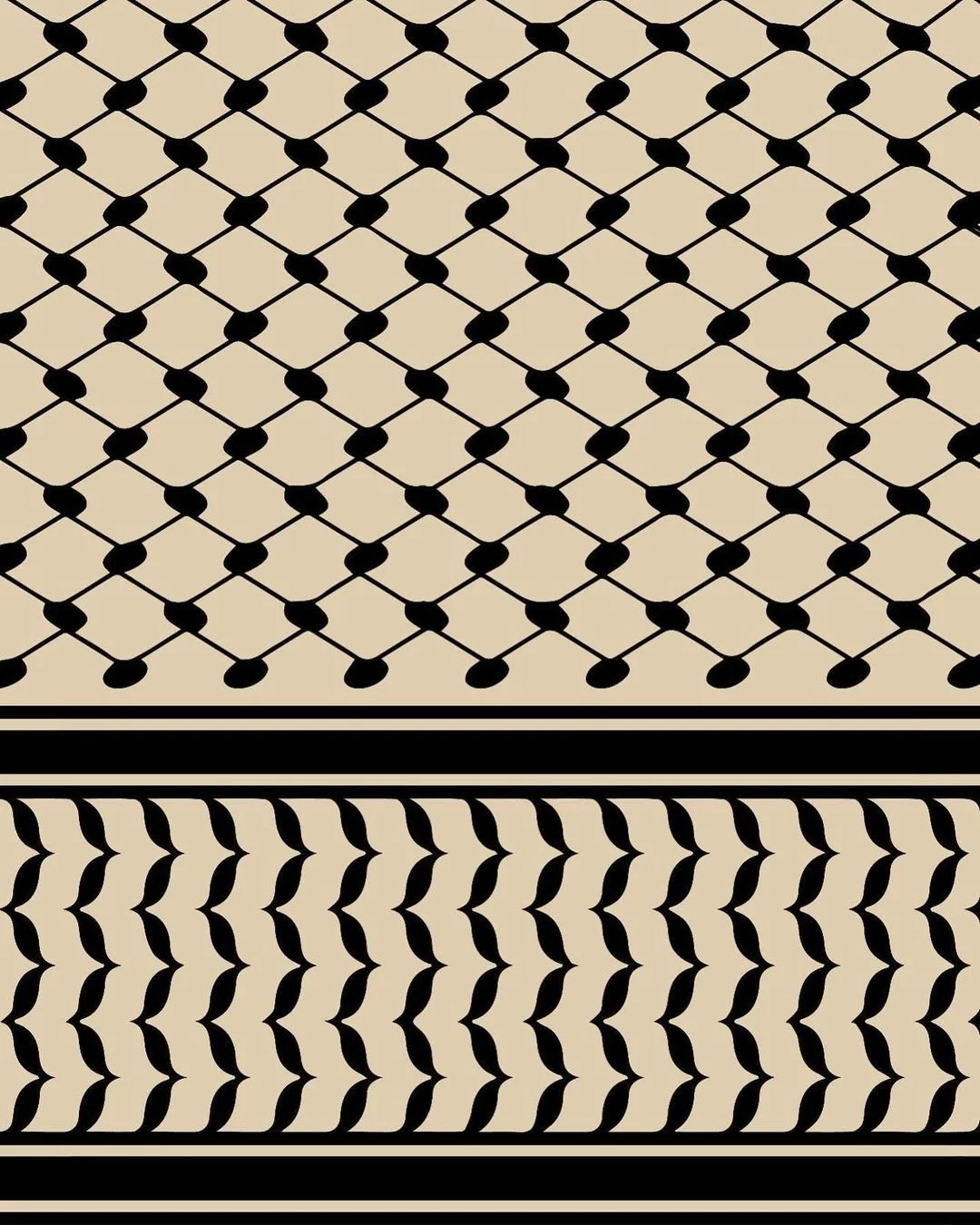 417235433_367167722677711_287081777354761399_n.jpg