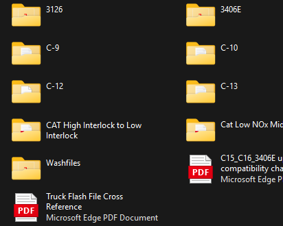 cat+flash+files2.png