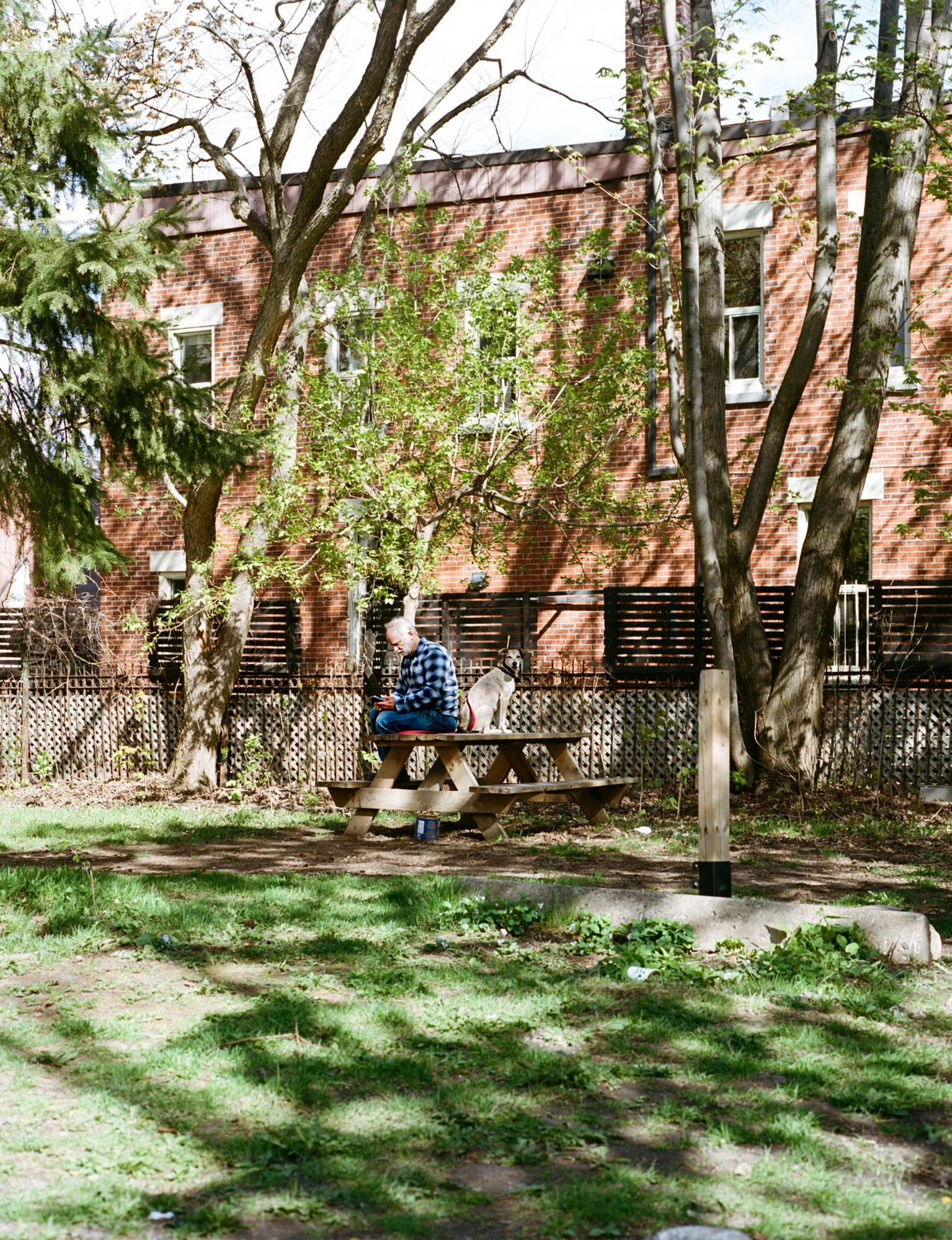 10.MAI-645-MAMIYA-6.jpg