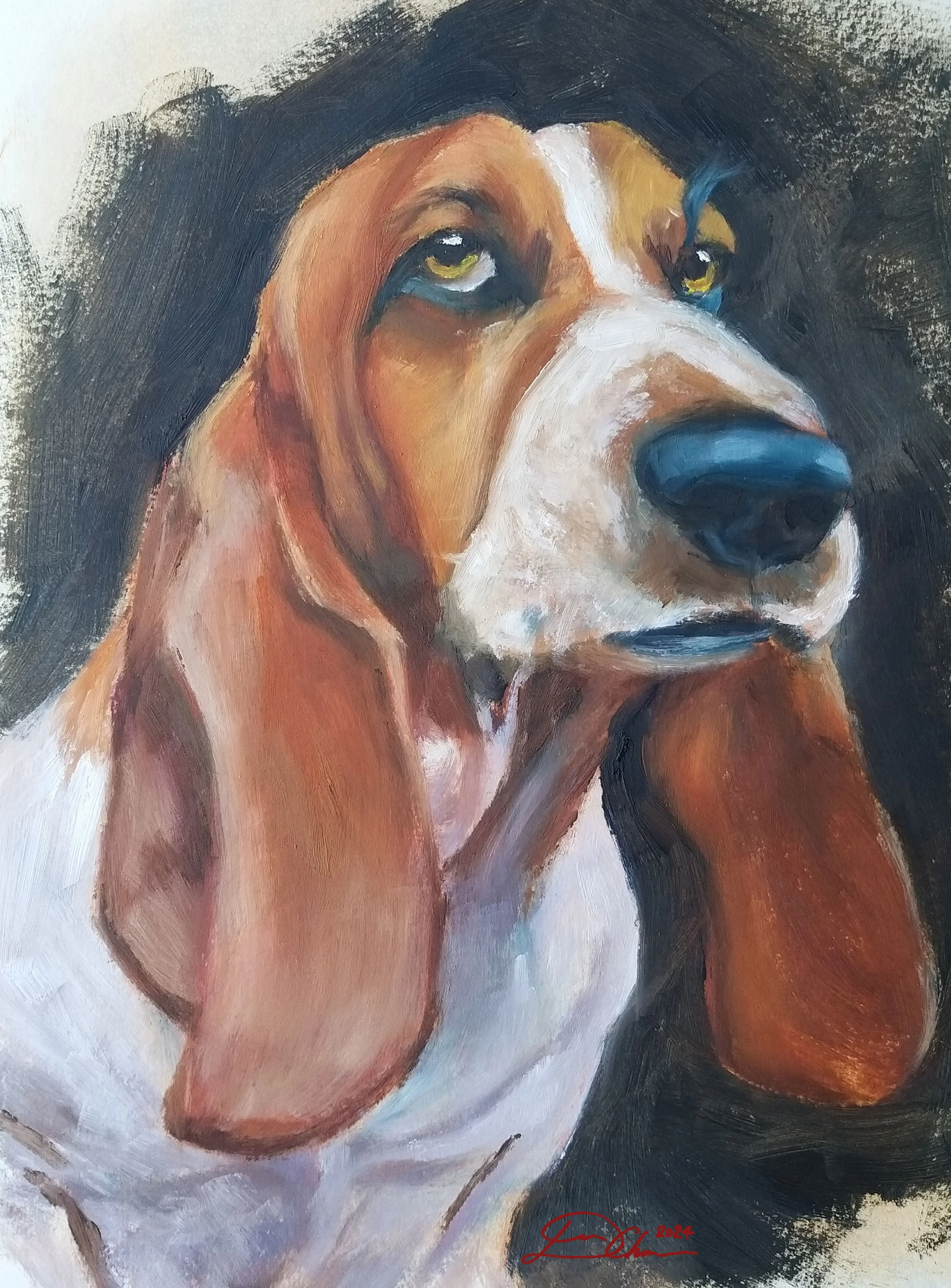 Dog15.jpg