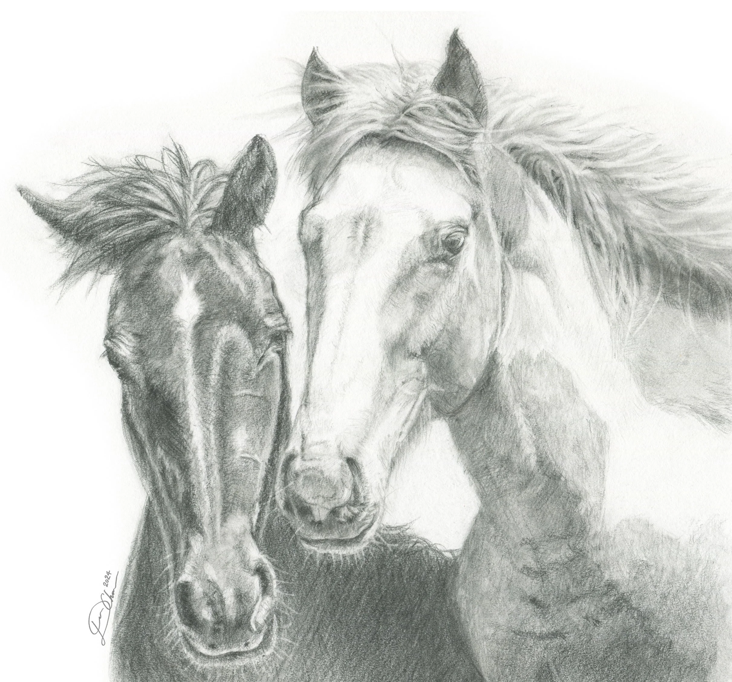 horse2use.jpg