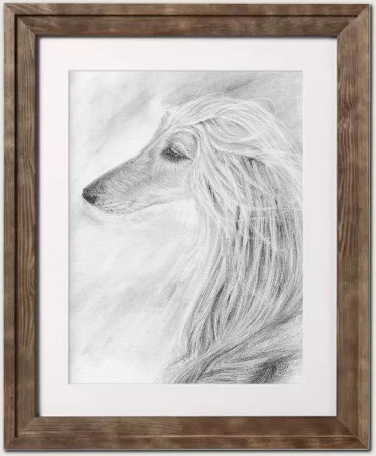 Dog2_colorback.jpg