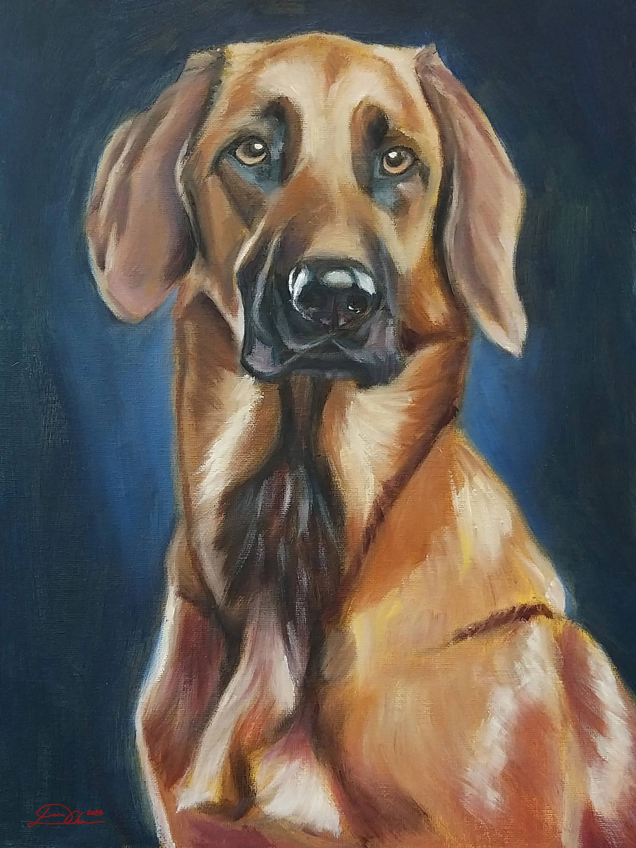 Dog5.jpg
