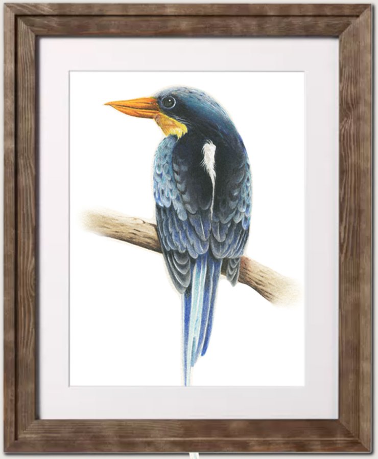 bird1.jpg