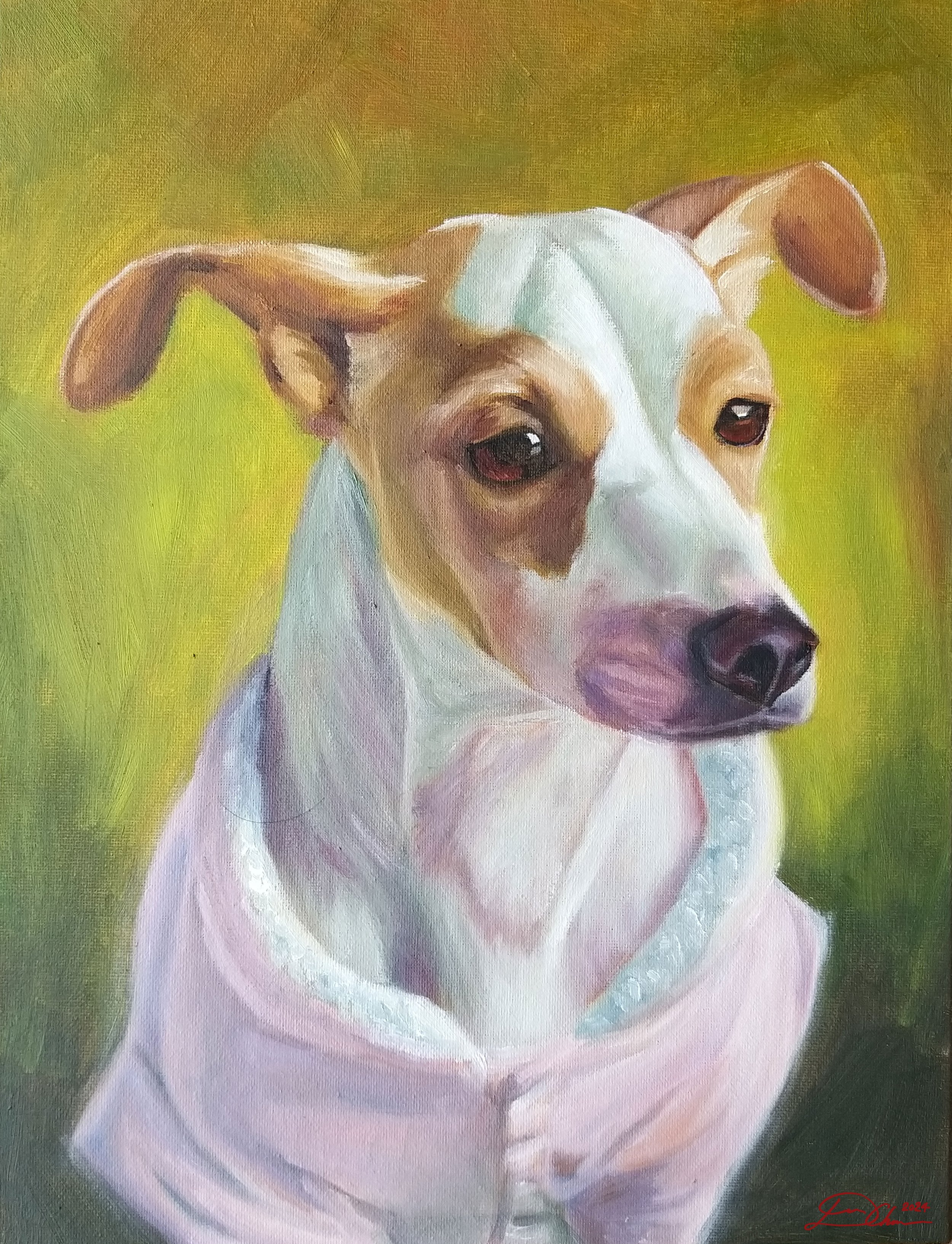 Dog12.jpg