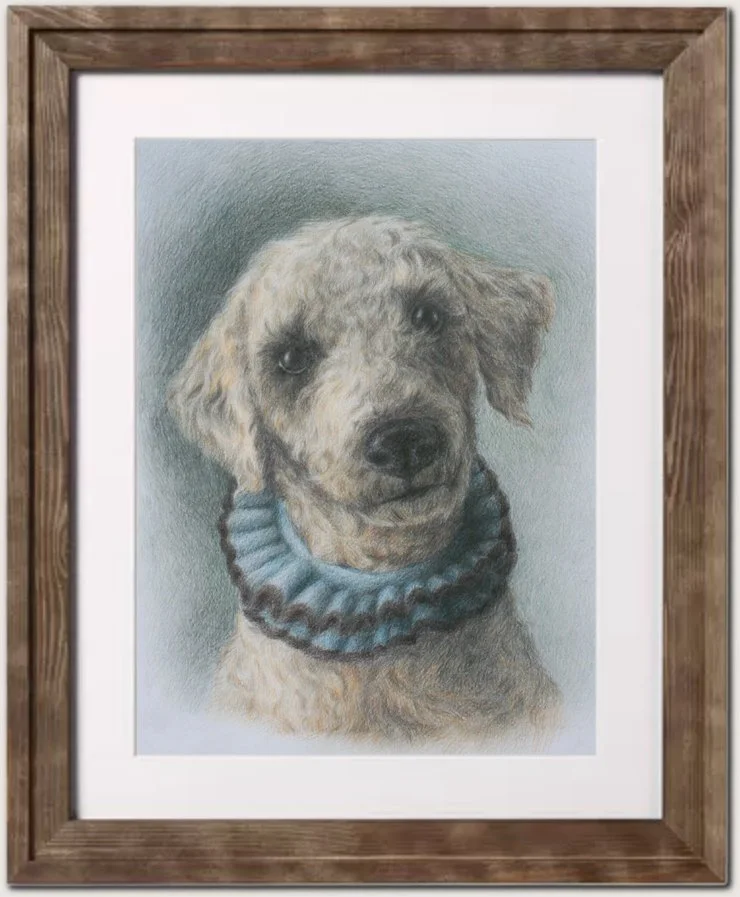 poodle_c.jpg