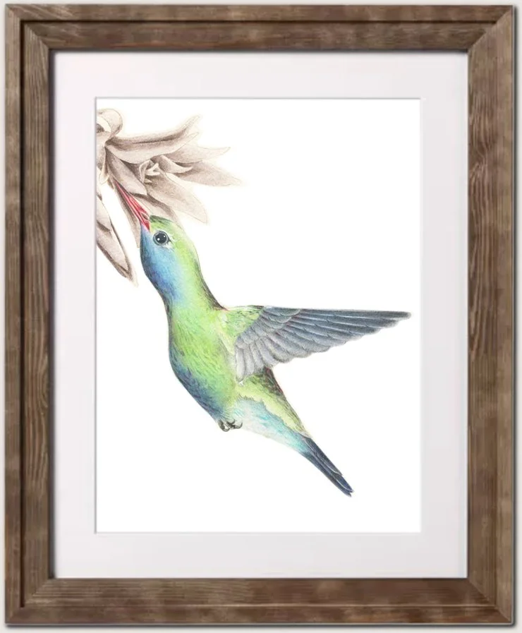 bird9.jpg