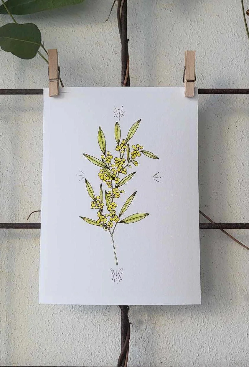 Wattle Branch