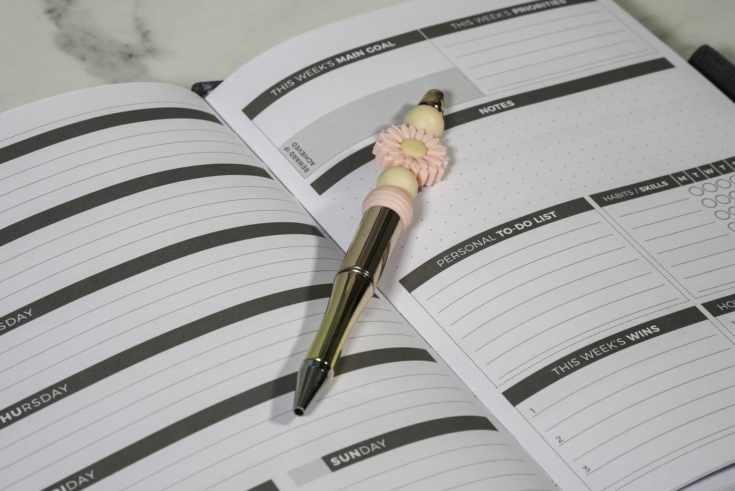 Pen