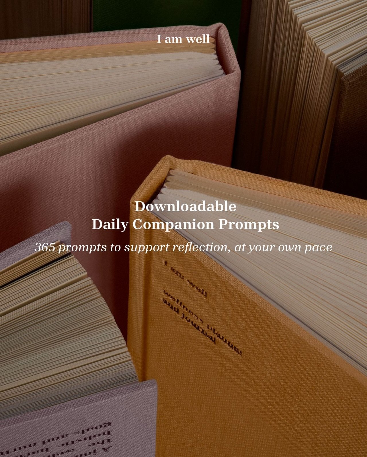 We created something many of you asked for🕊️

Daily Companion Prompts
365 gentle invitations for reflection and presence.

This is an optional companion to our journal, for those who find a little daily structure grounding.

Now available &mdash; li