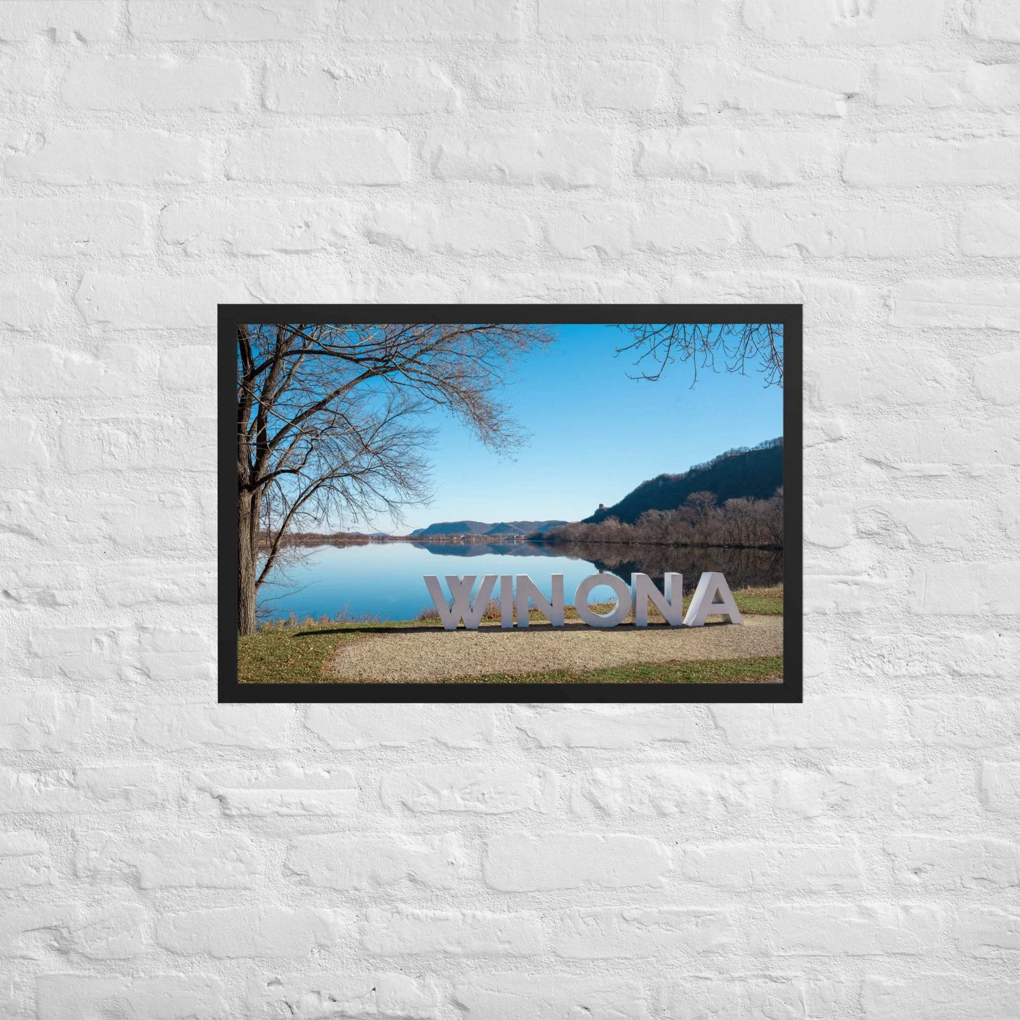 enhanced-matte-paper-framed-poster-(in)-black-20x30-front-69596f9d31830.jpg