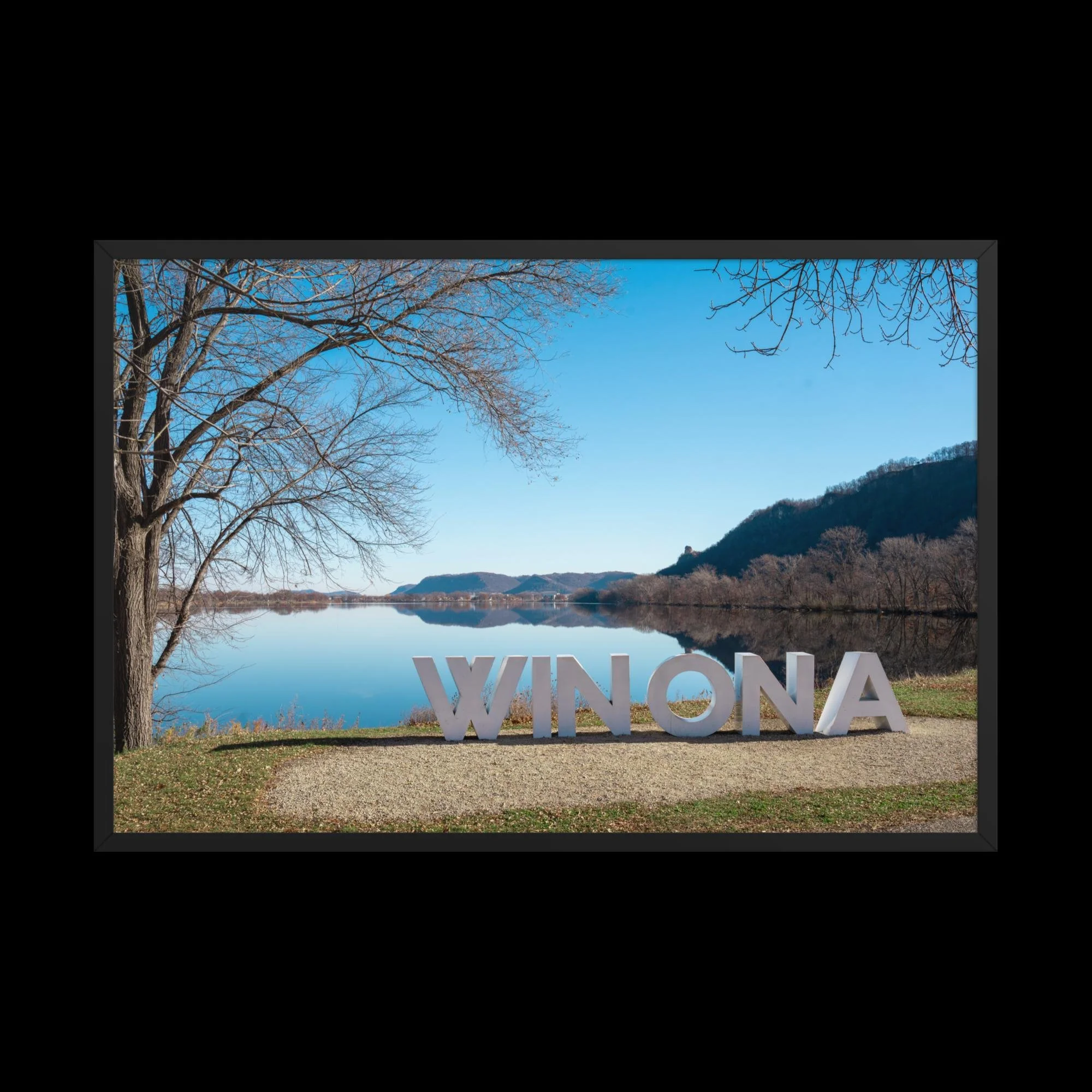 enhanced-matte-paper-framed-poster-(in)-black-24x36-front-69fcb79bc50b6.jpg