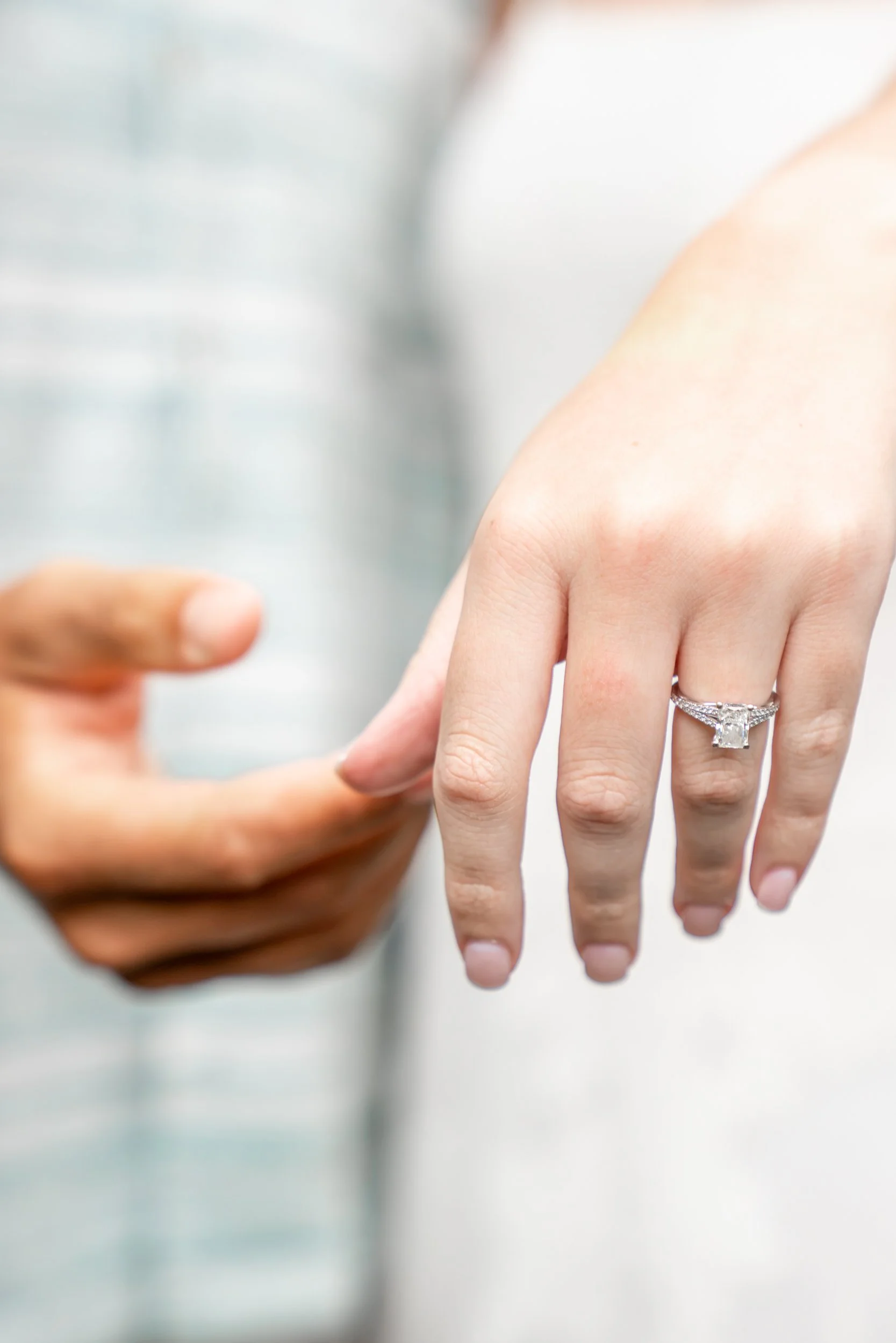 mitchell-park-domes-milwaukee-wisconsin-wedding-engagement-photographer-fine-art-photo-session-bridal-portraits-best-wedding-engaged-photography-018.jpg
