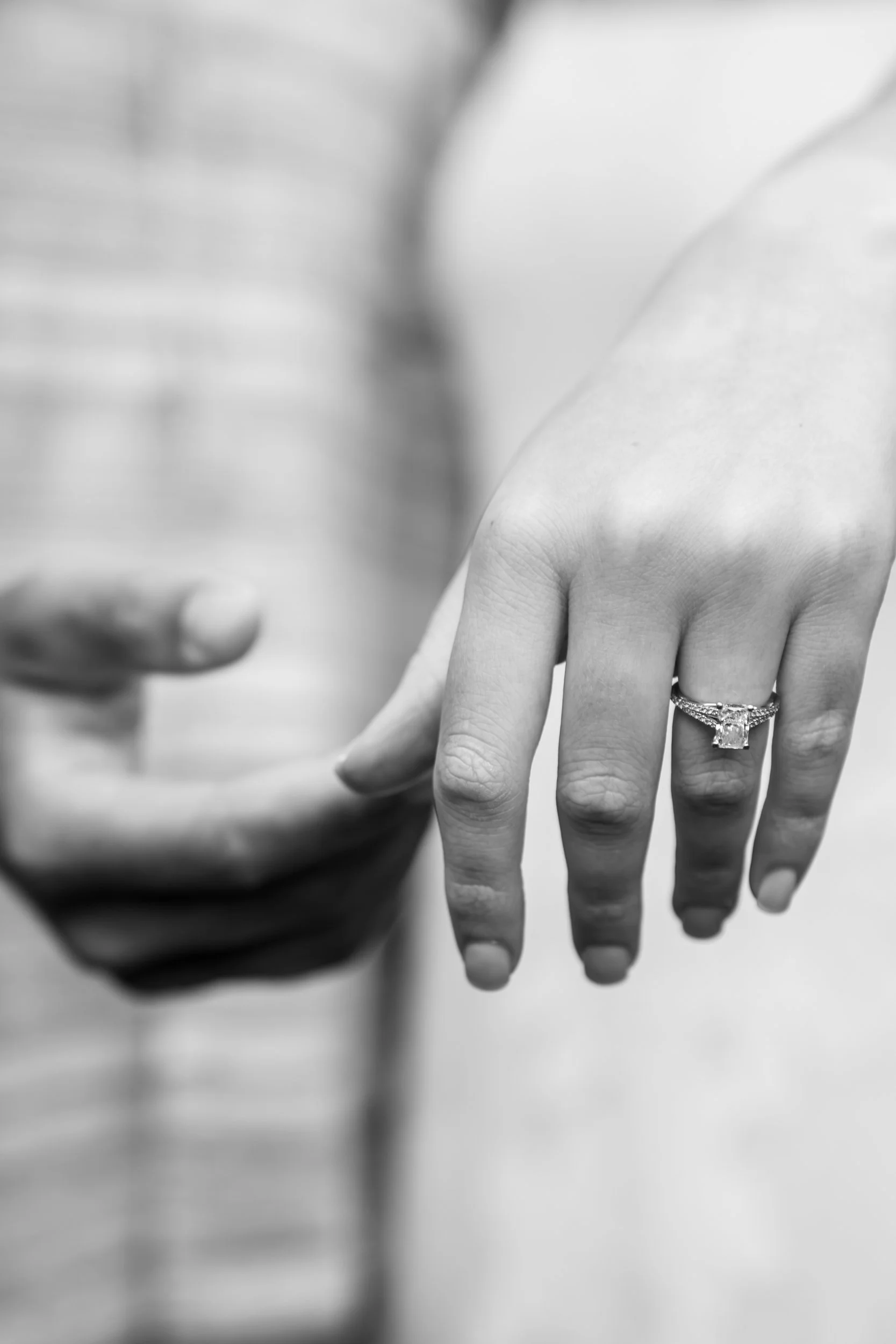 mitchell-park-domes-milwaukee-wisconsin-wedding-engagement-photographer-fine-art-photo-session-bridal-portraits-best-wedding-engaged-photography-019.jpg