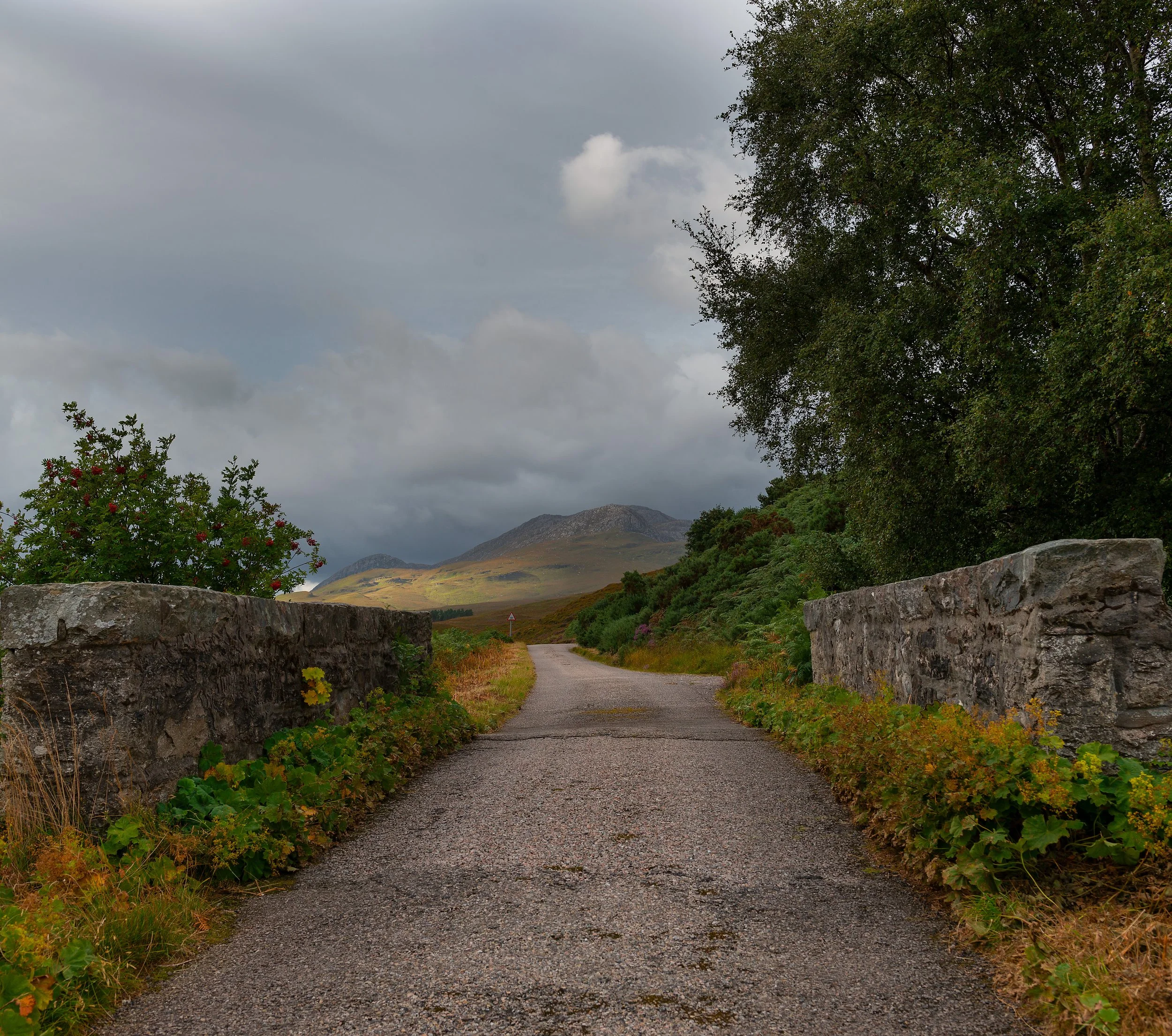Ben Loyal road .jpg