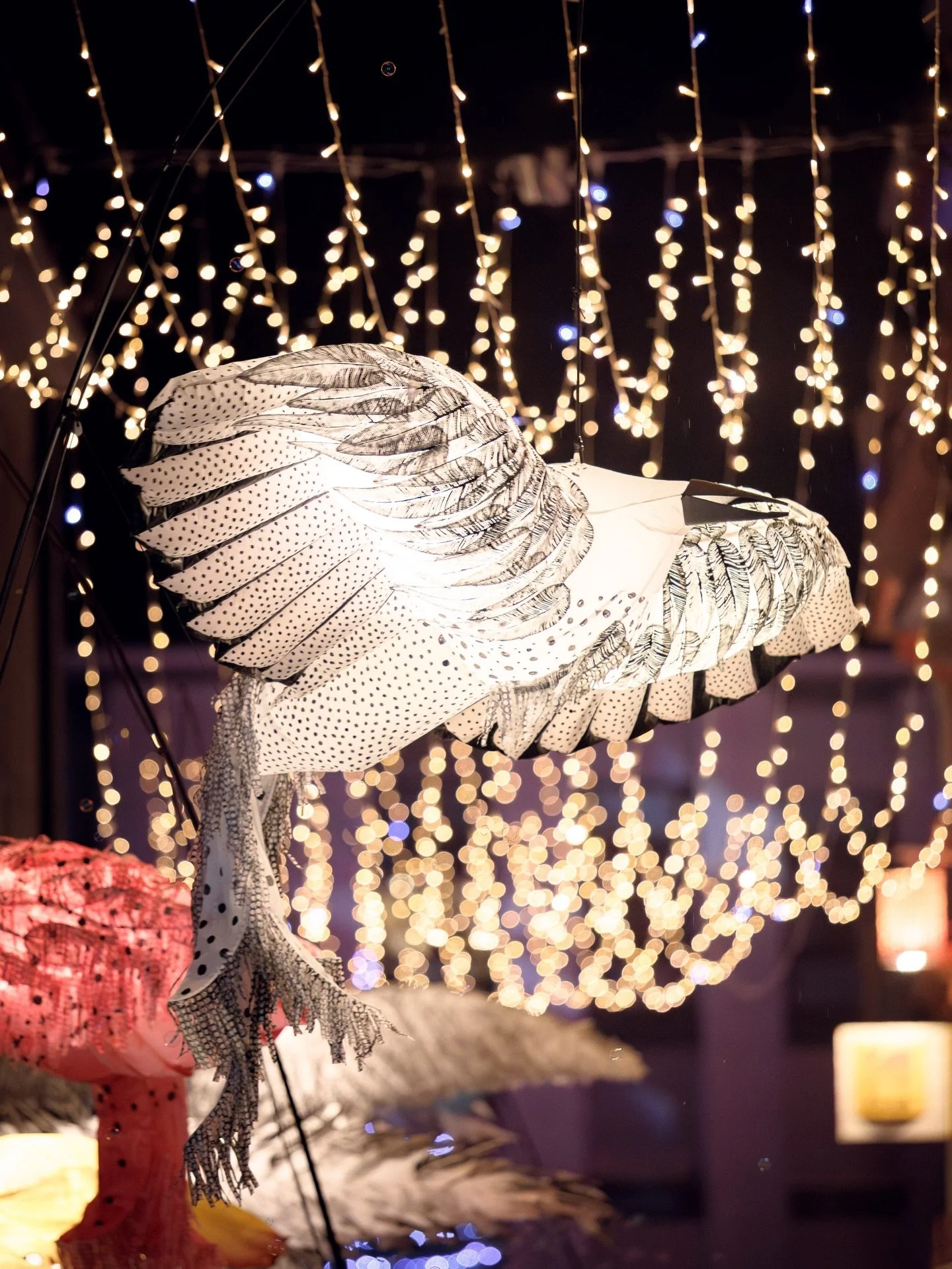 L&rsquo;arriv&eacute;e du p&egrave;re No&euml;l accompagn&eacute; de ses fabuleux oiseaux lumineux.

#flottins_evian #no&euml;l #evian