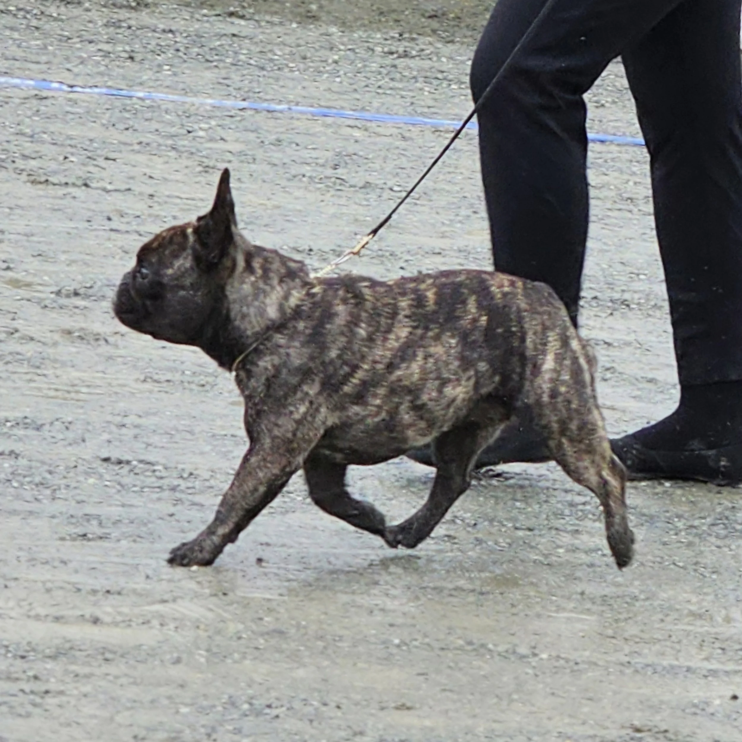 20250524_201013.jpg