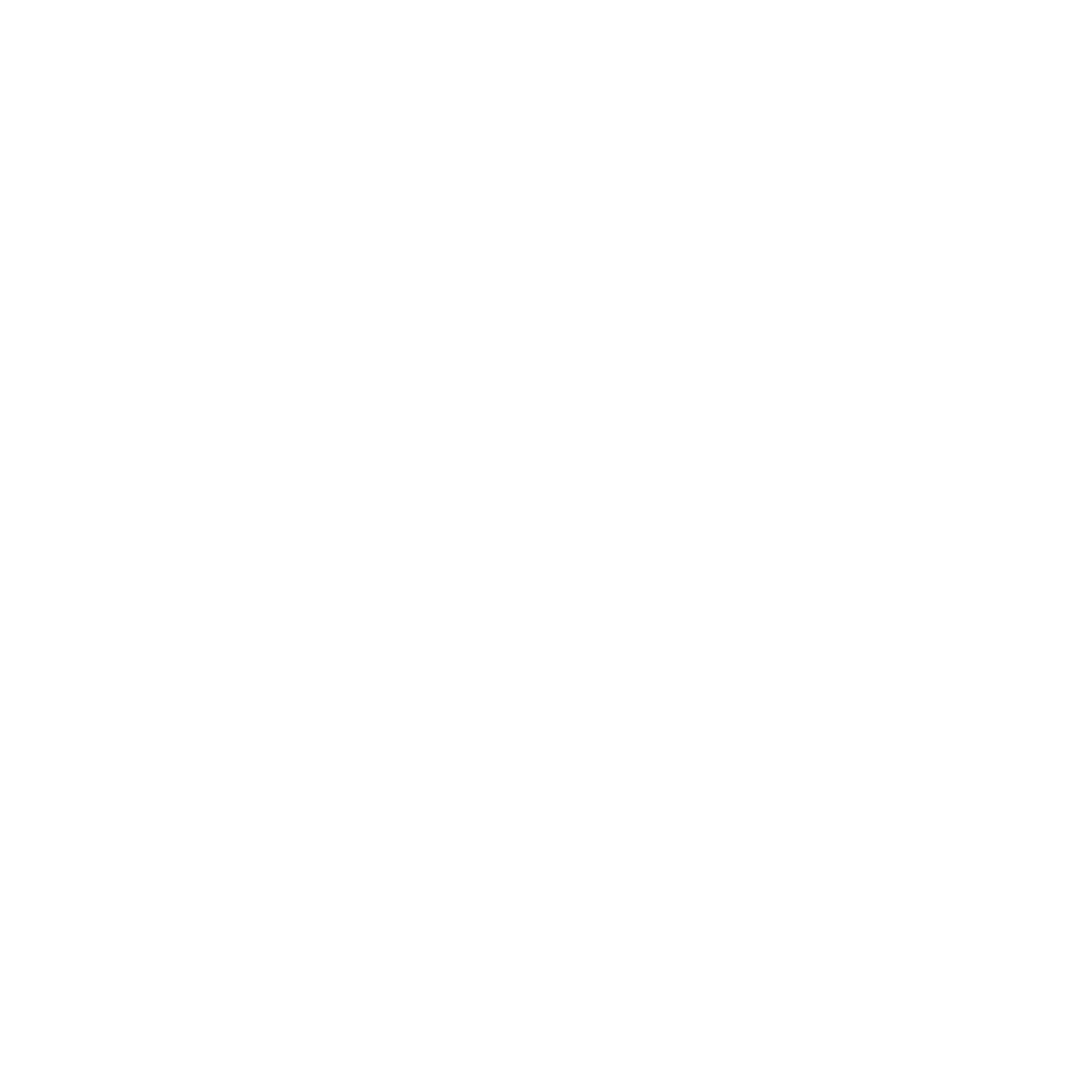 Twin City Store