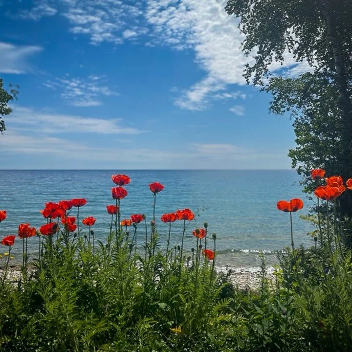 Summer has begun at Dolomite Drift! #dyersbay #dolomitedrift